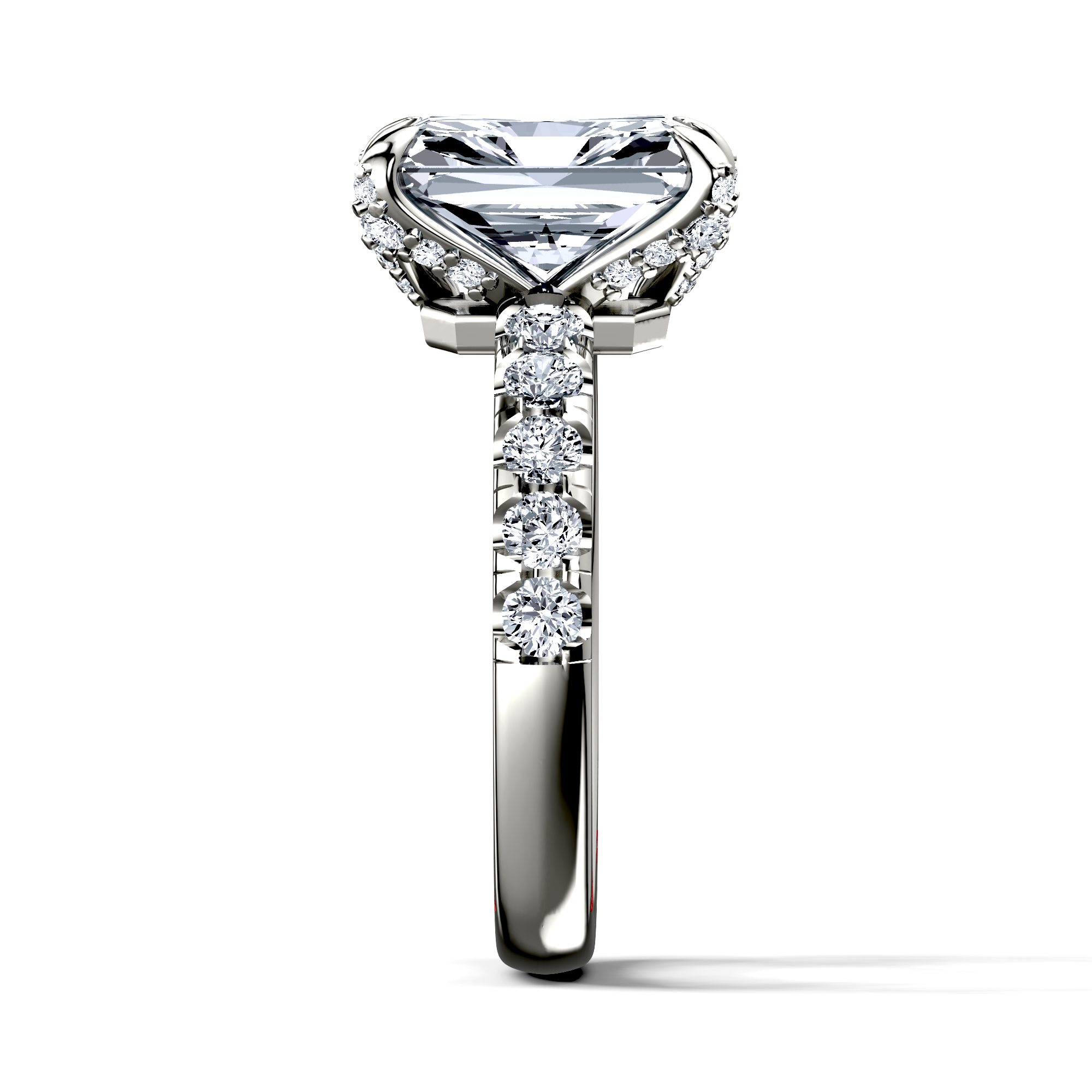 Image for The Phoebe