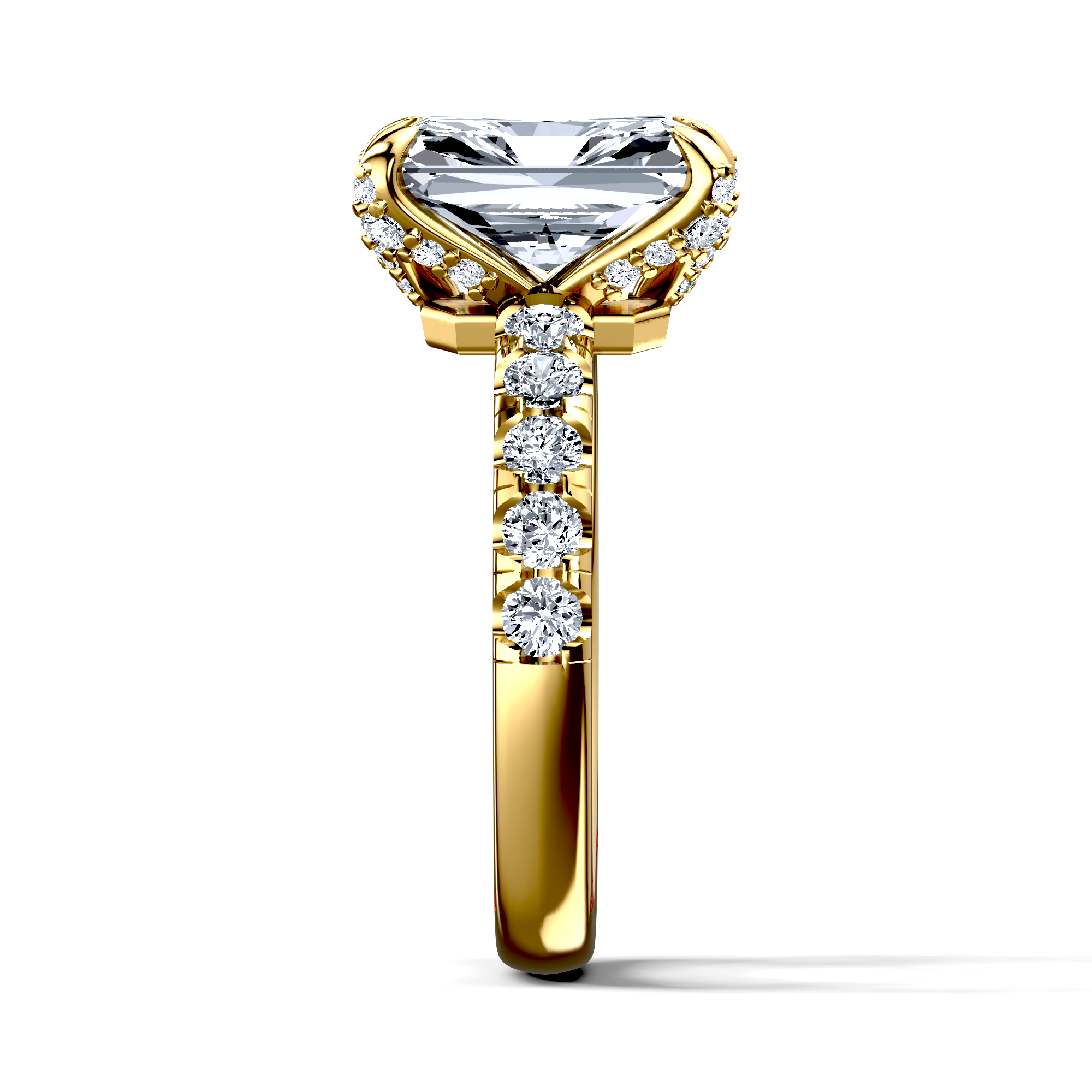 Image for The Phoebe