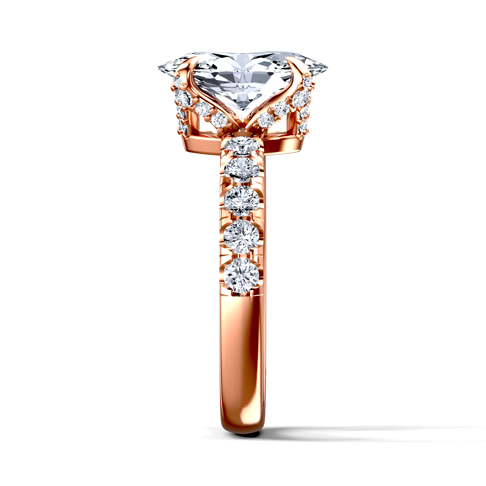 Image for The Phoebe