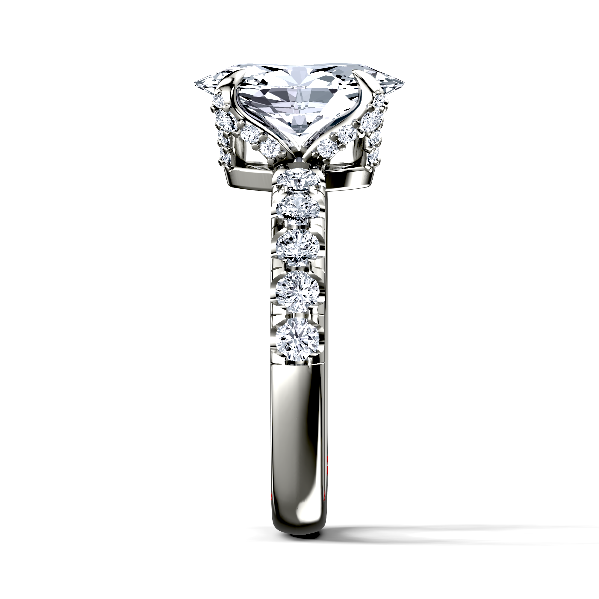 Image for The Phoebe