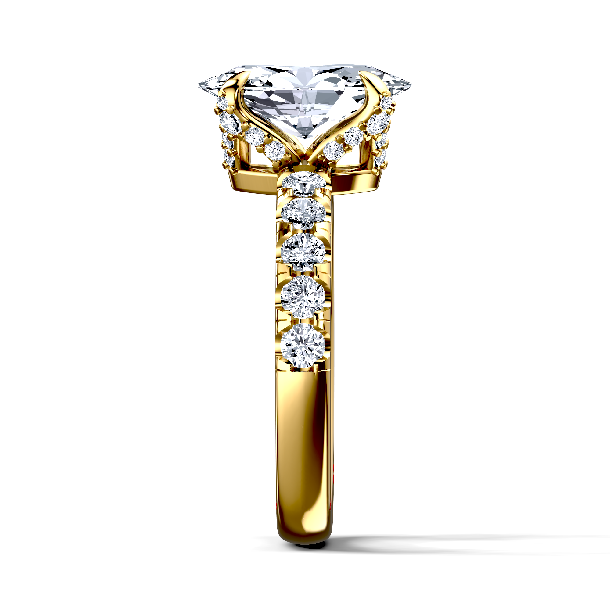 Image for The Phoebe