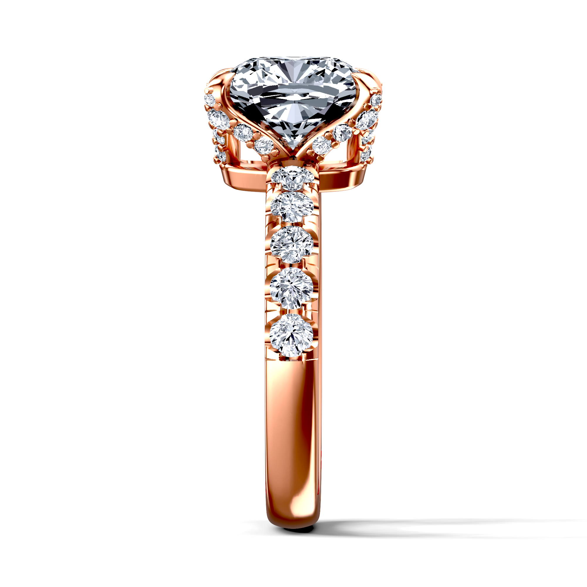 Image for The Phoebe