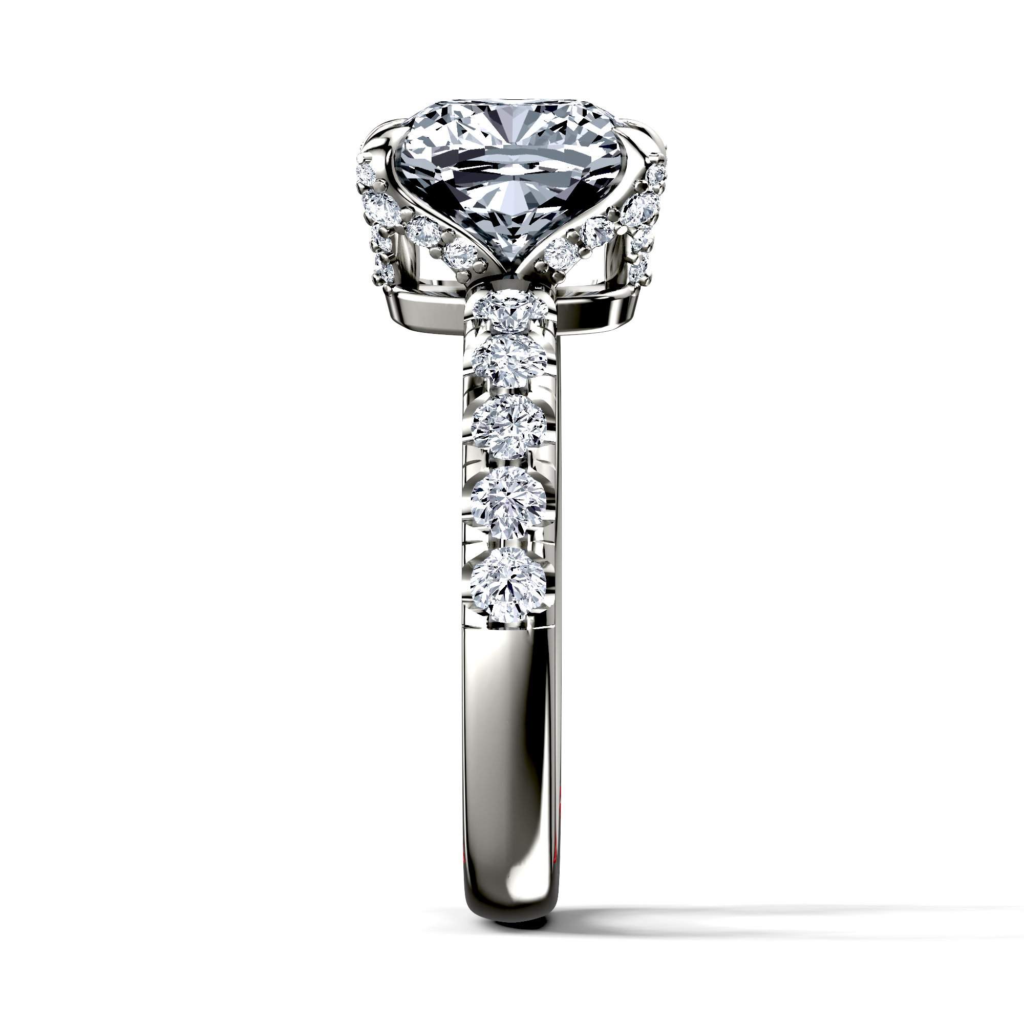 Image for The Phoebe
