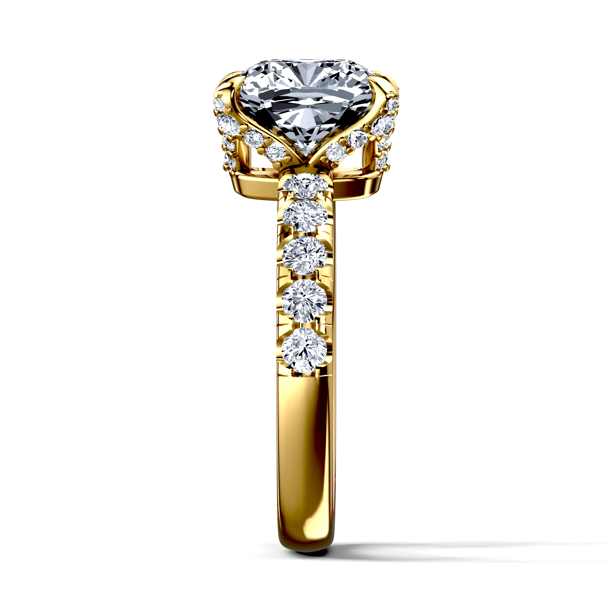 Image for The Phoebe