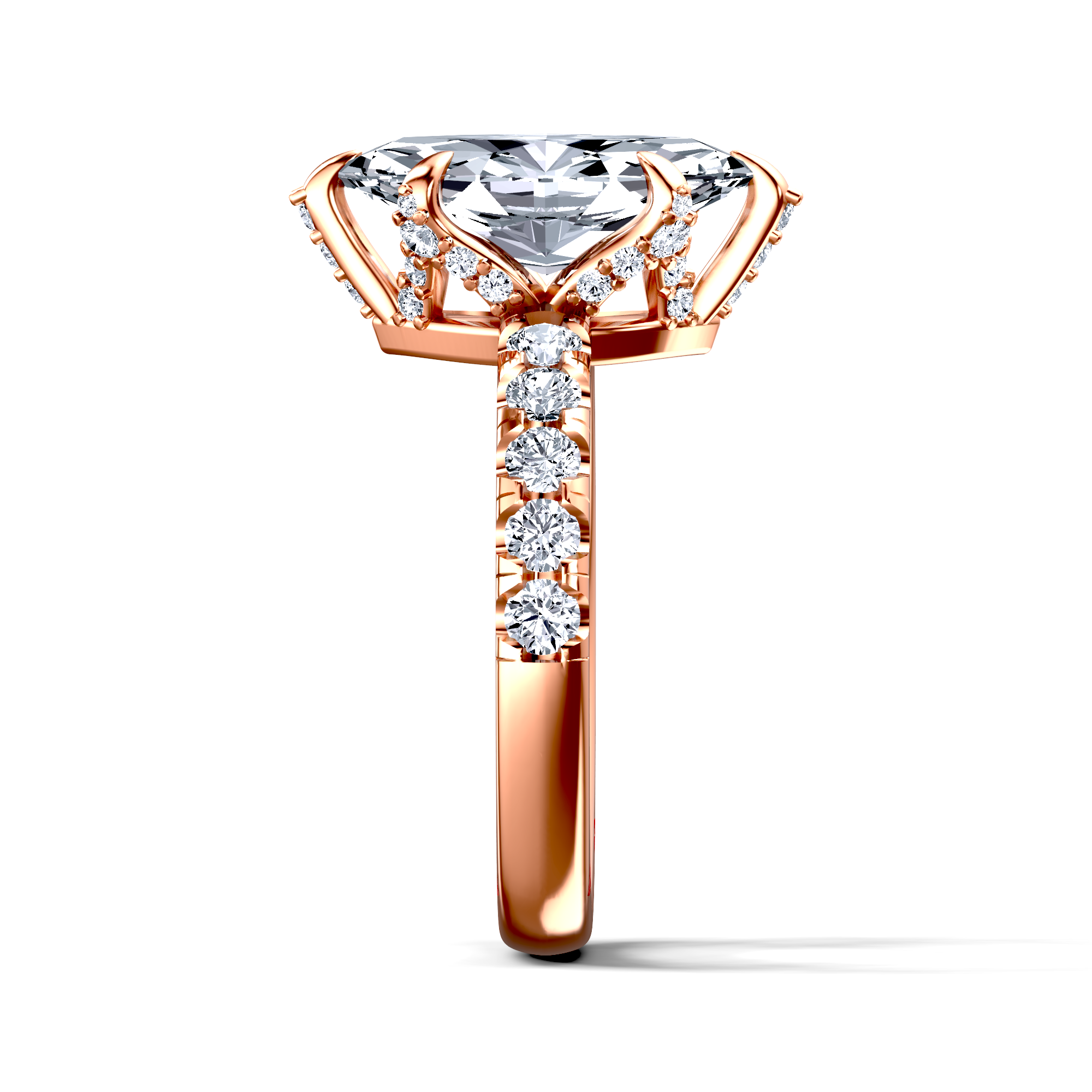 Image for The Phoebe