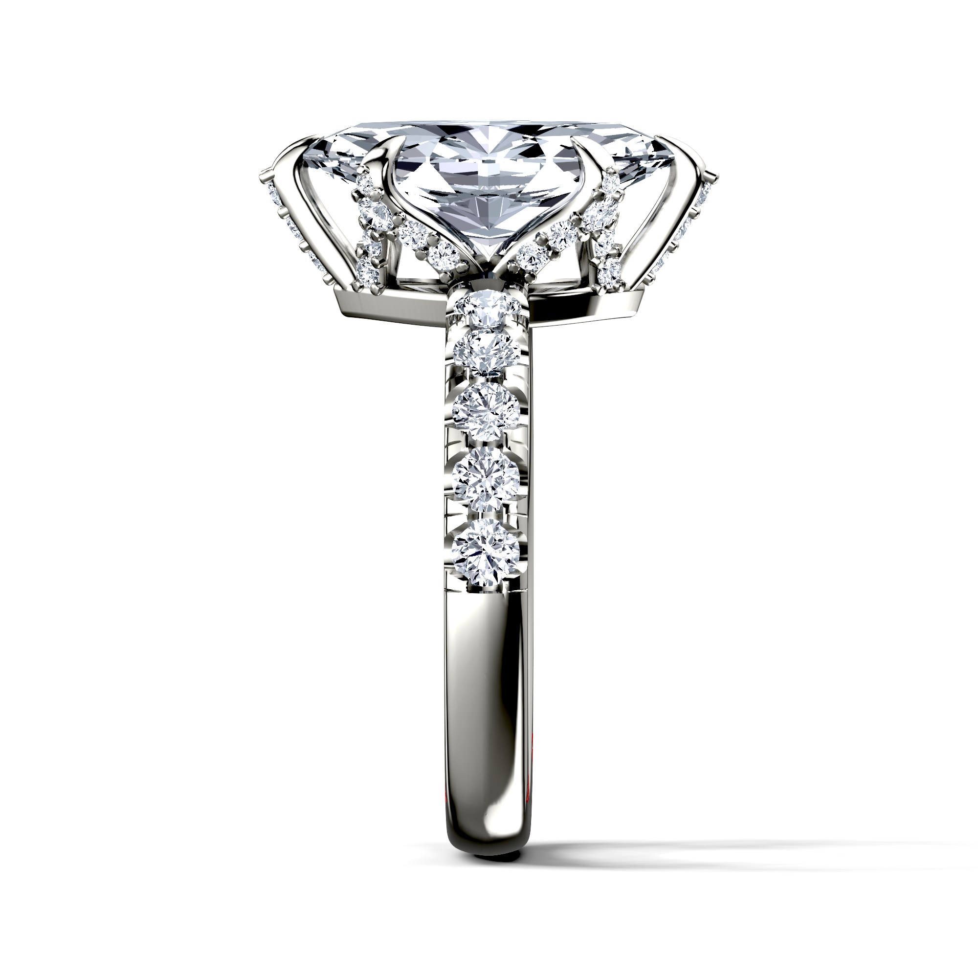 Image for The Phoebe