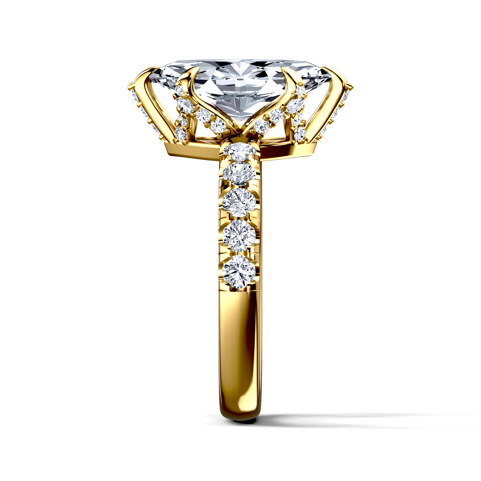 Image for The Phoebe
