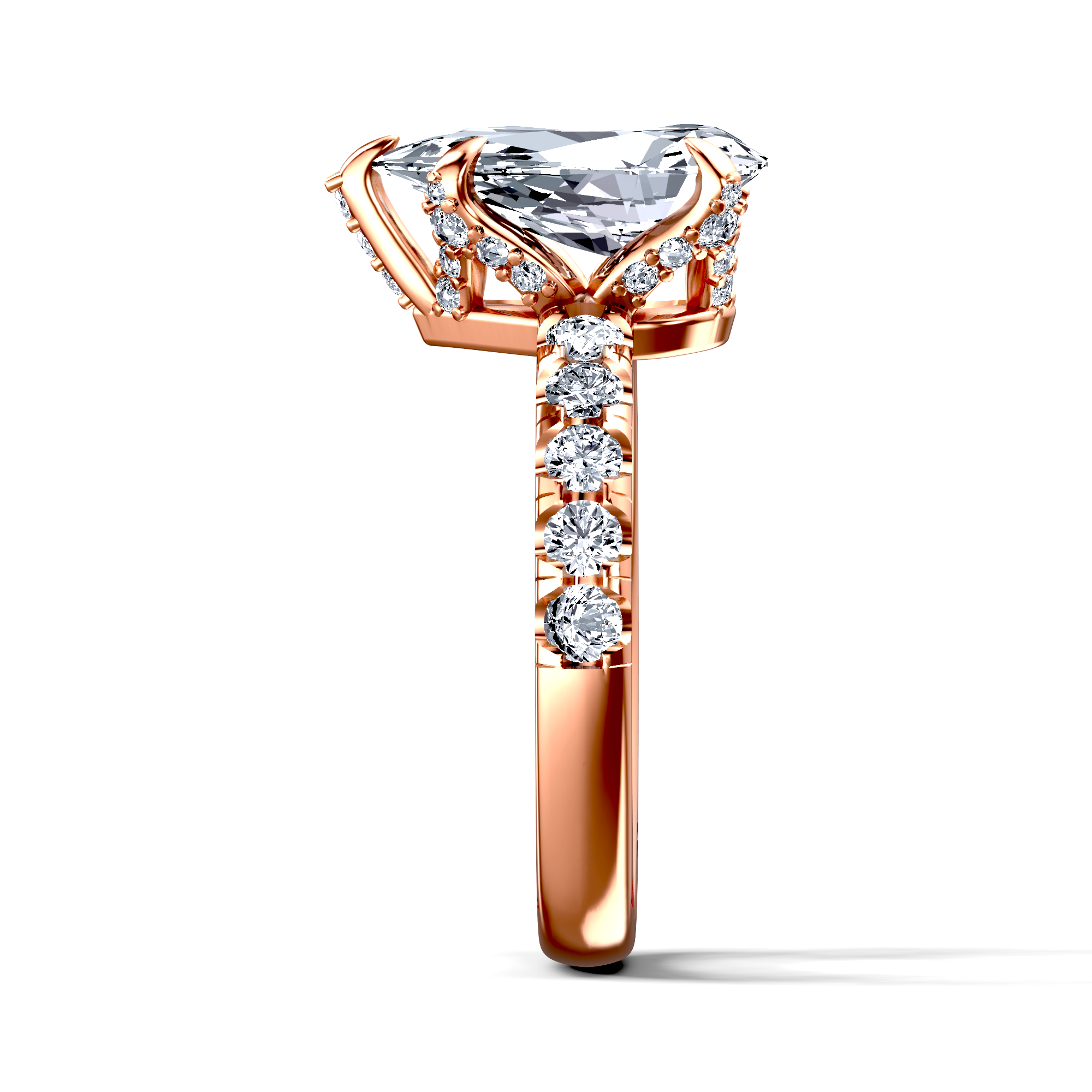 Image for The Phoebe