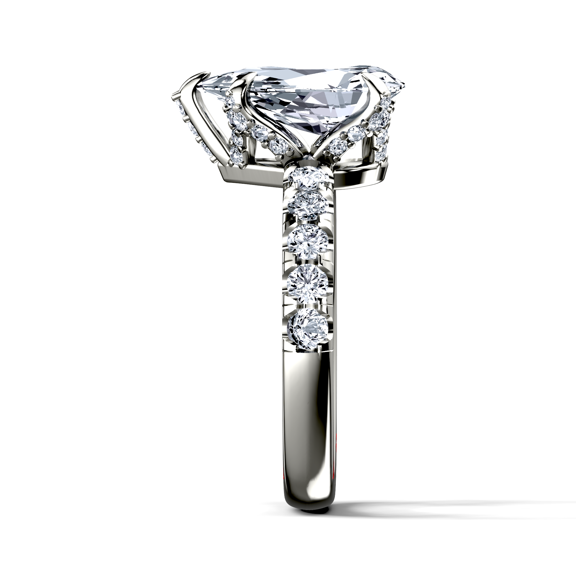 Image for The Phoebe