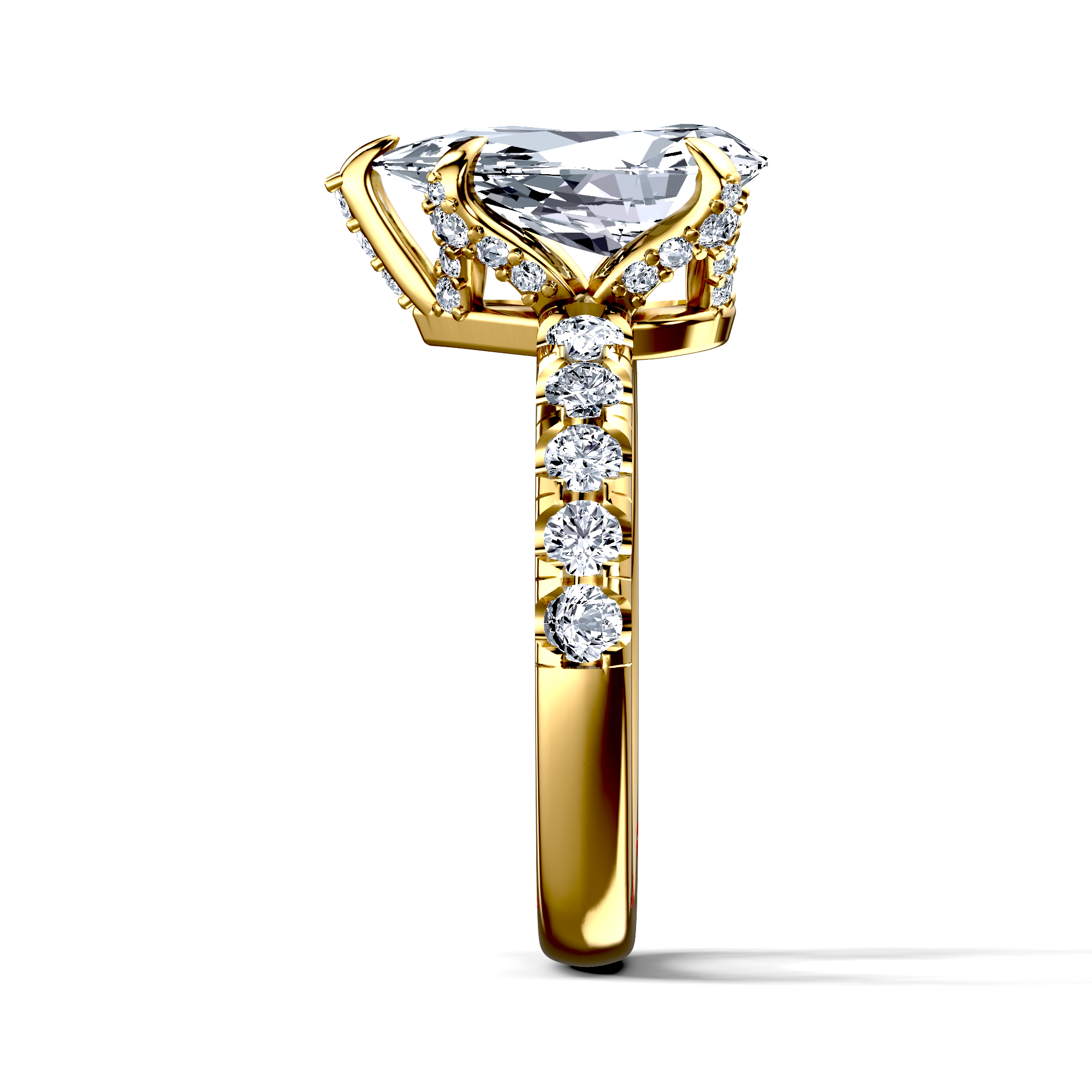 Image for The Phoebe