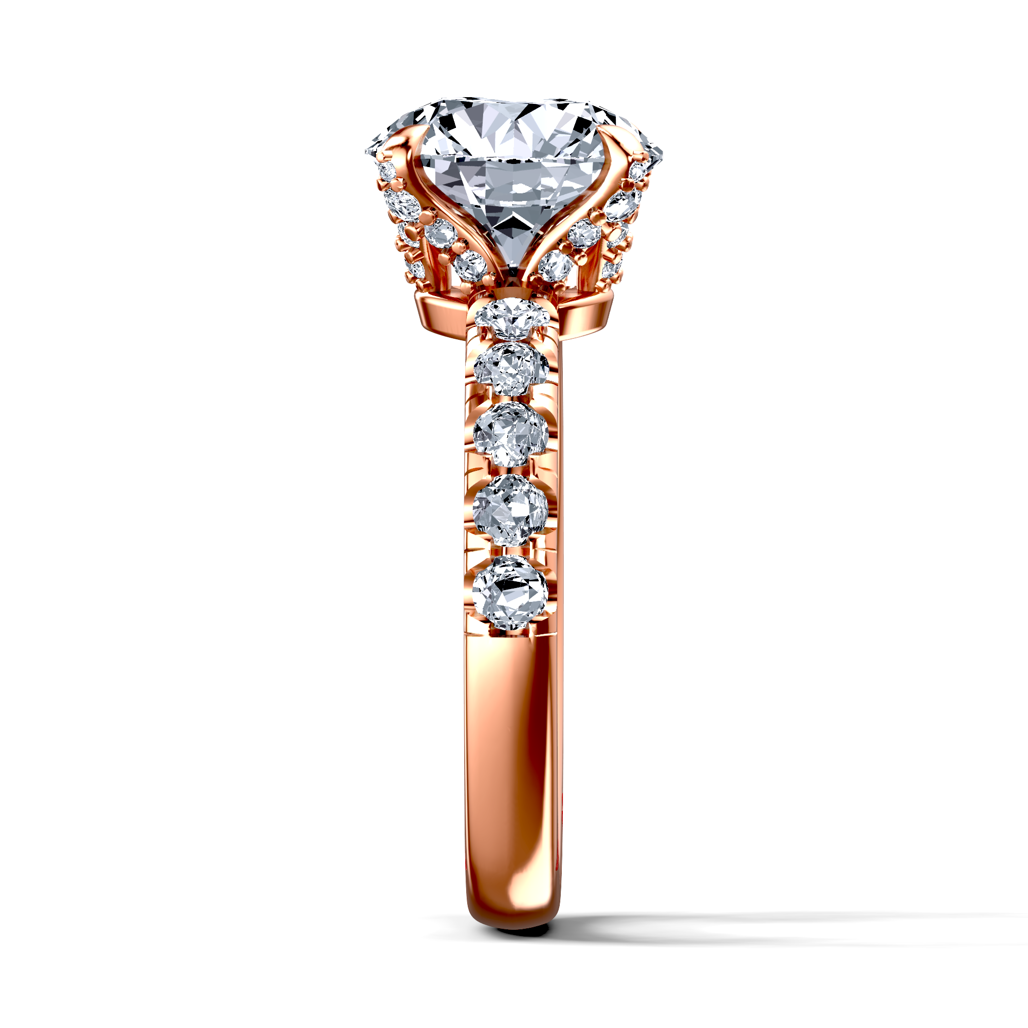 Image for The Phoebe