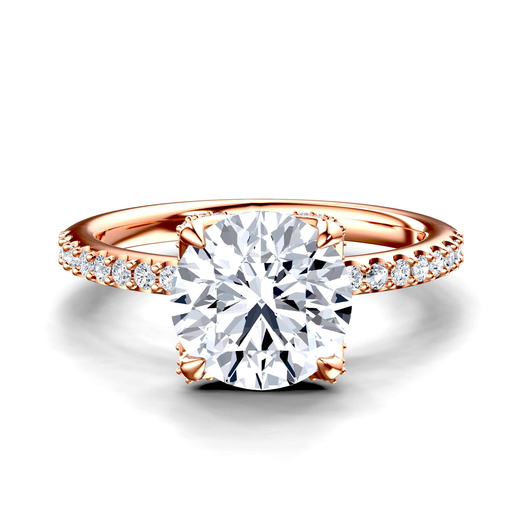 Image for The Daphne