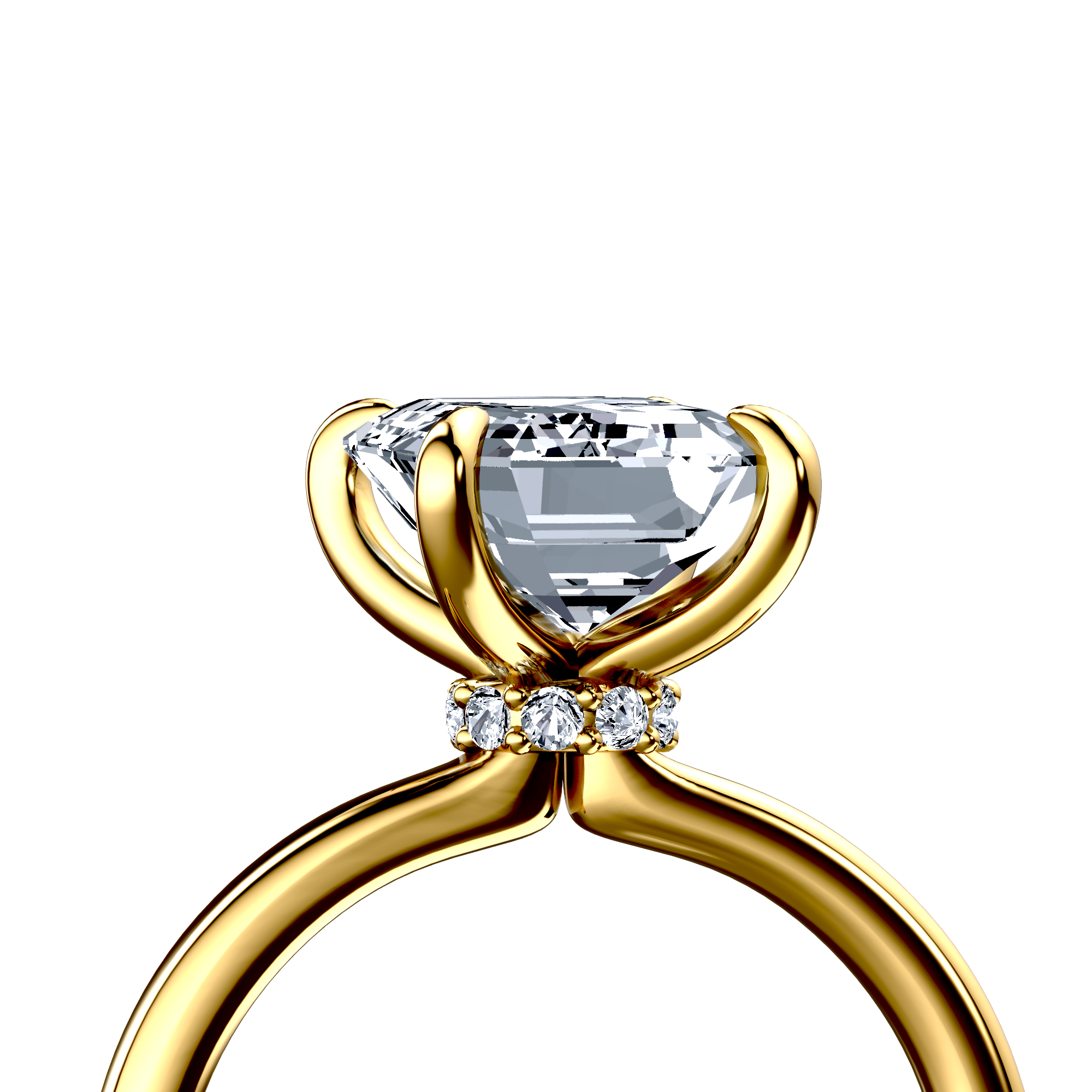 Image for The Elara