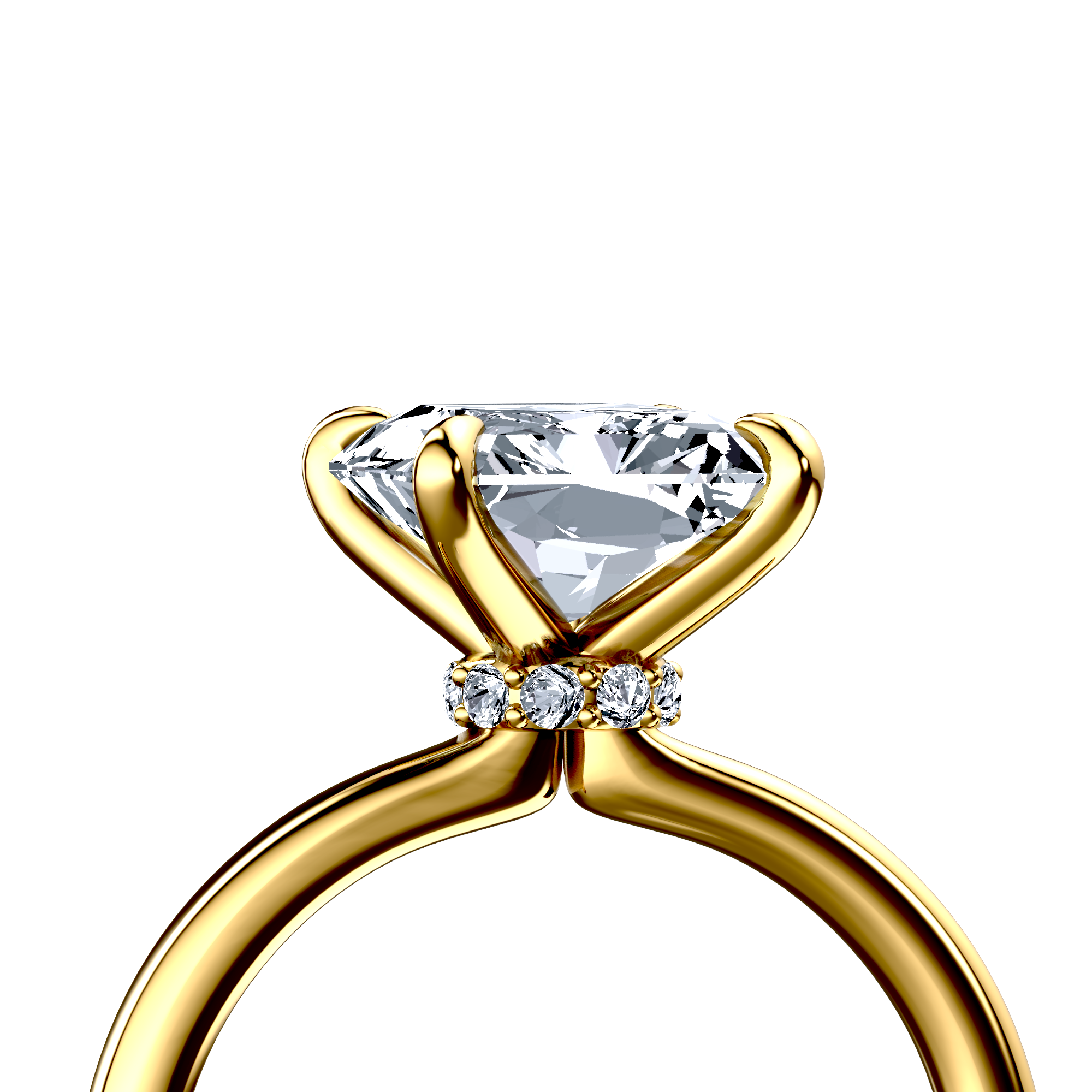 Image for The Elara