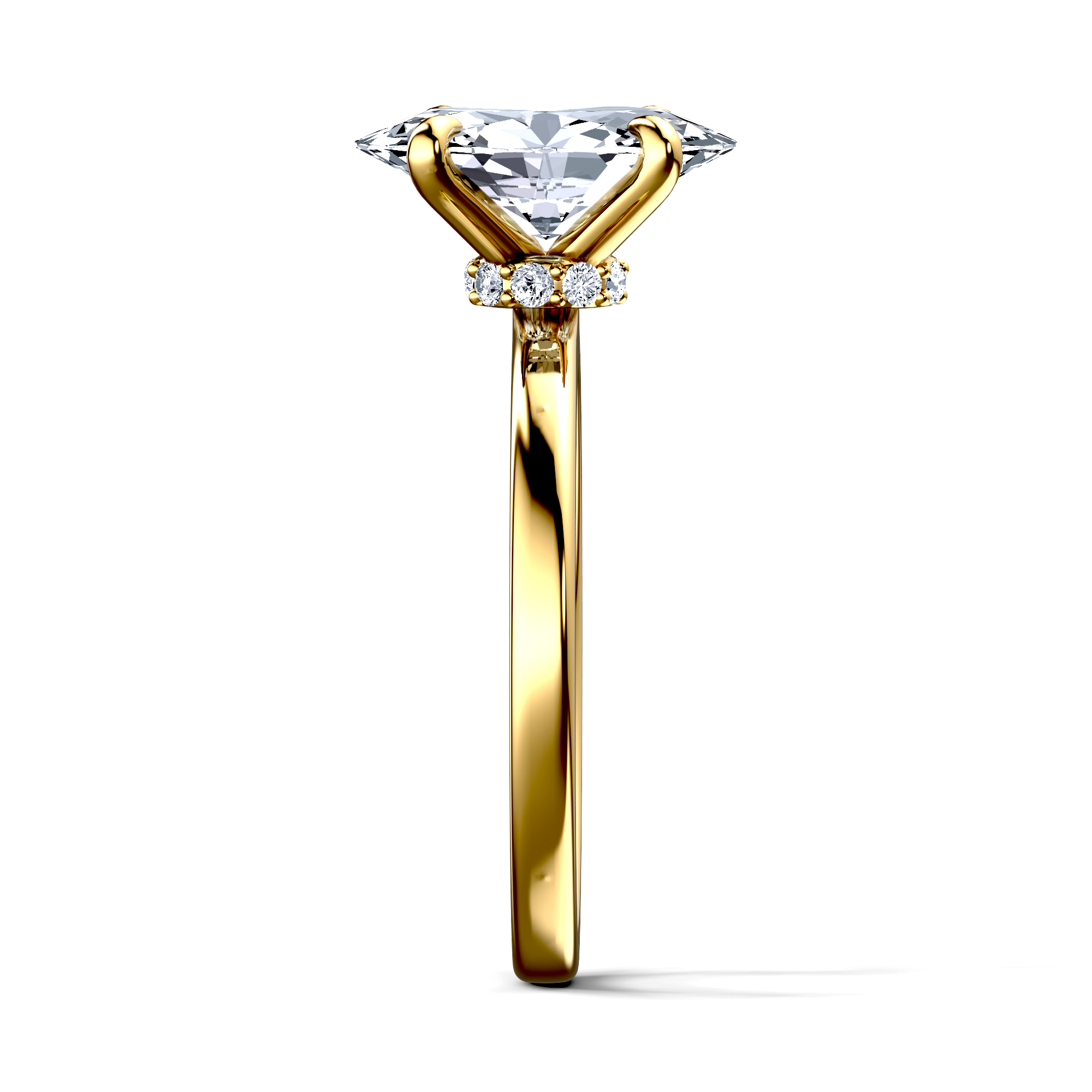 Image for The Elara