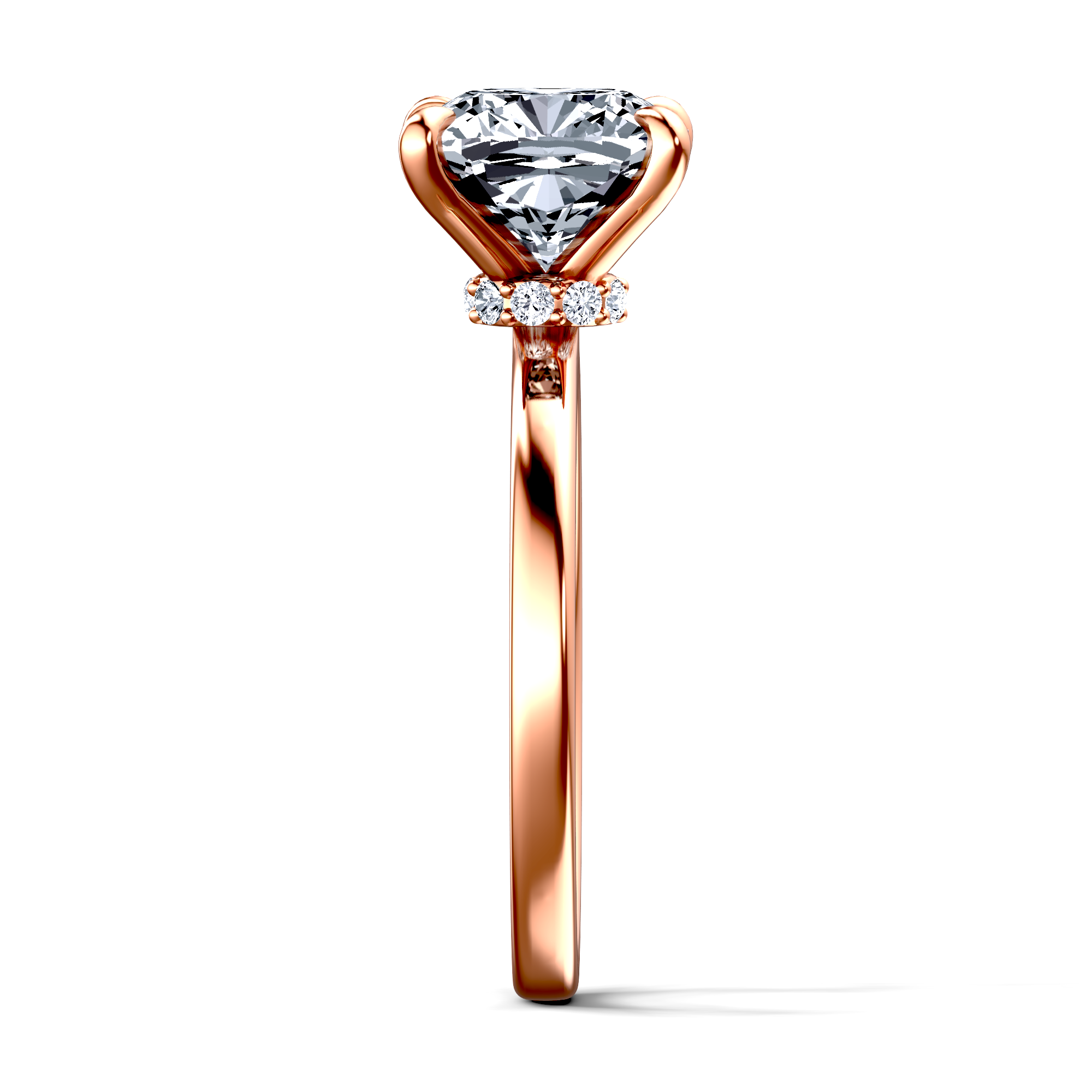 Image for The Elara