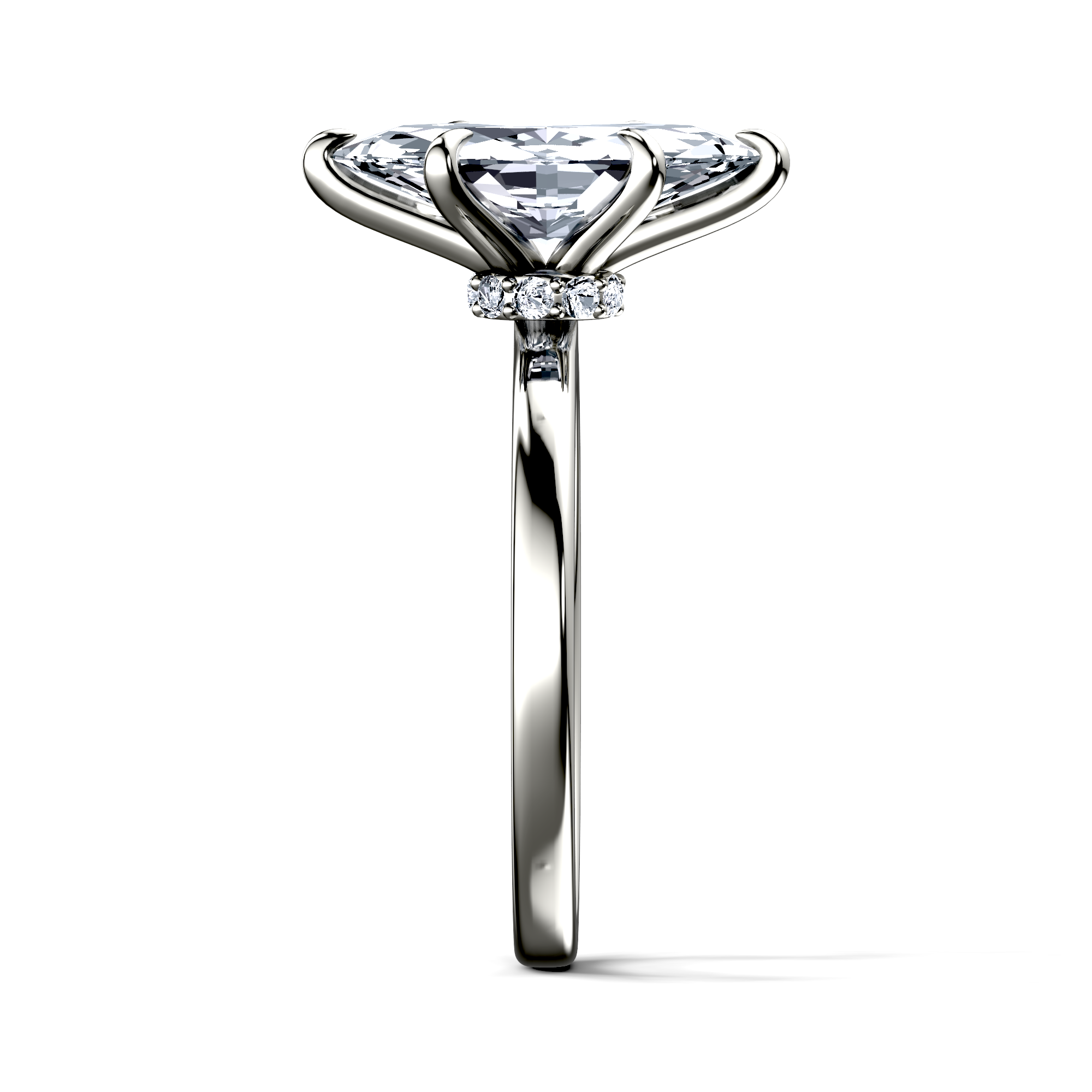 Image for The Elara