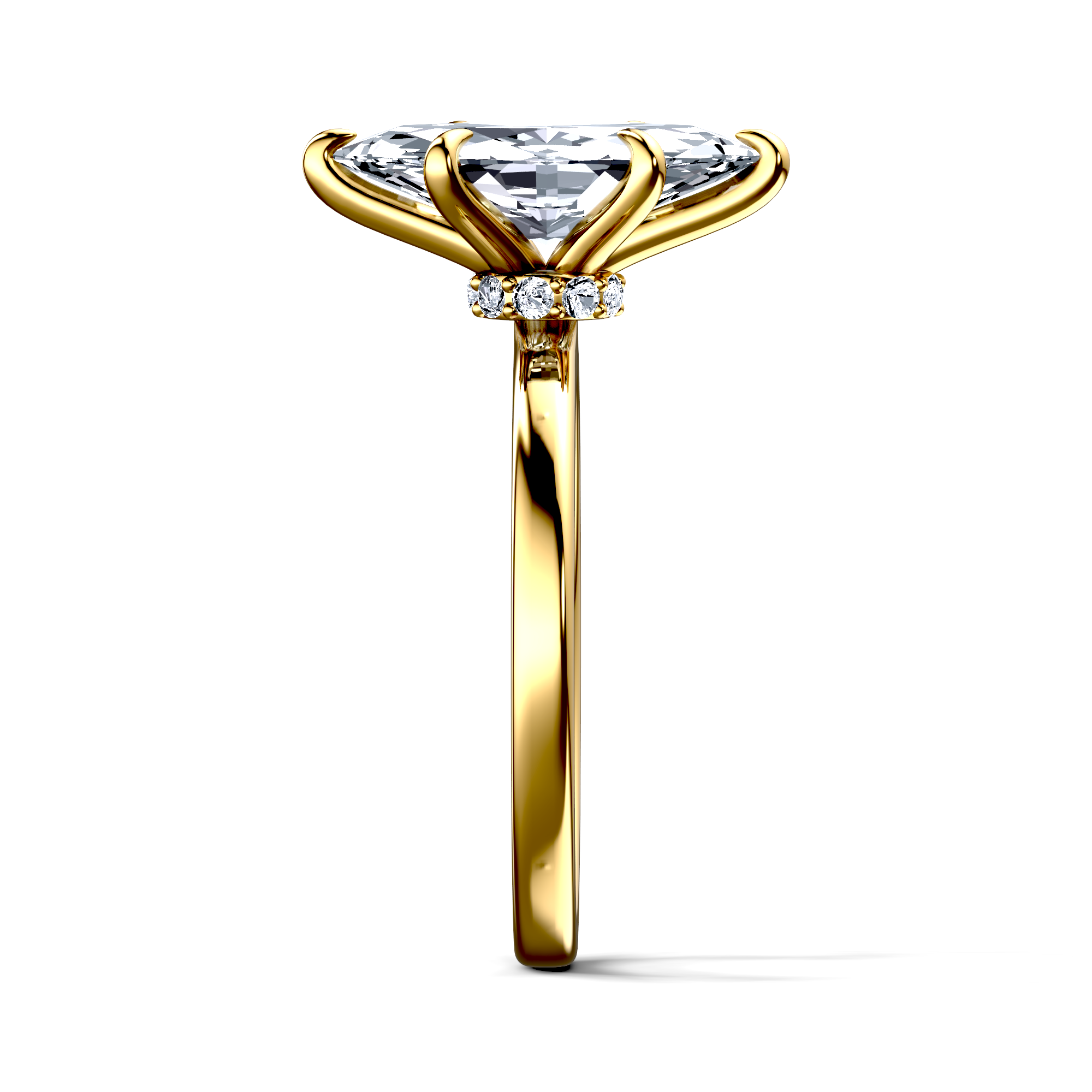 Image for The Elara