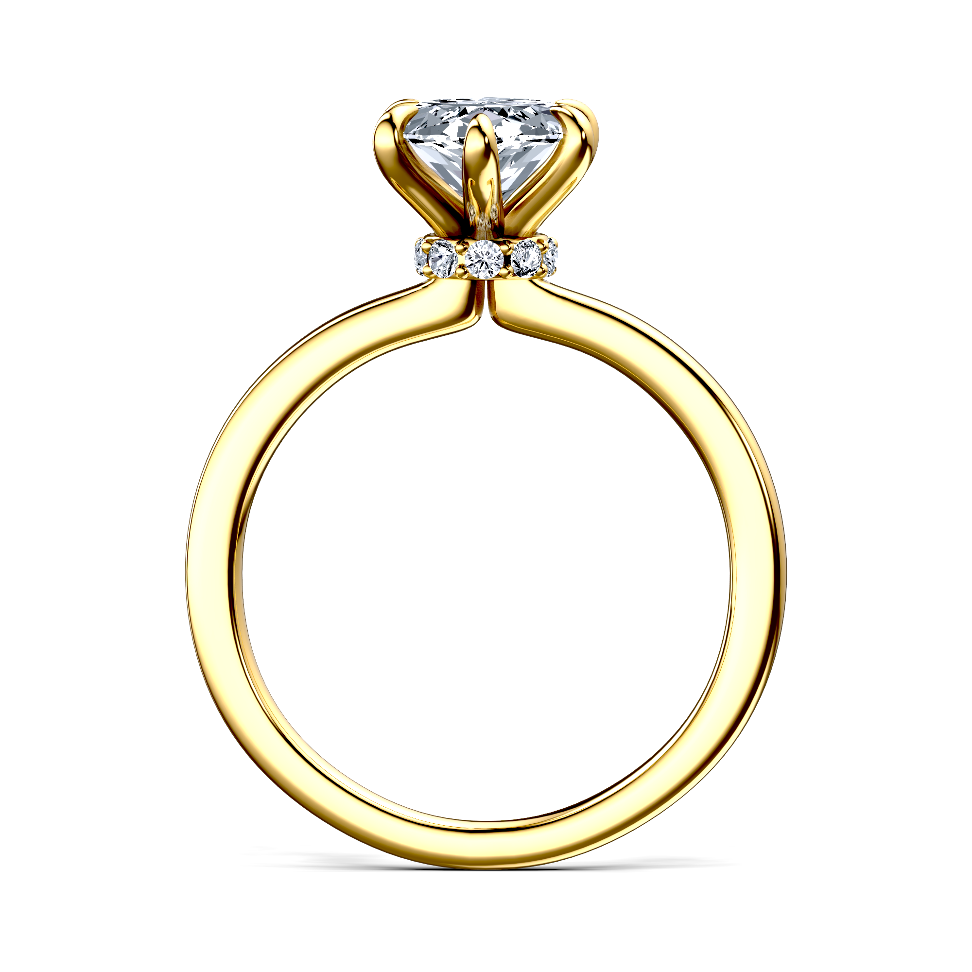 Image for The Elara