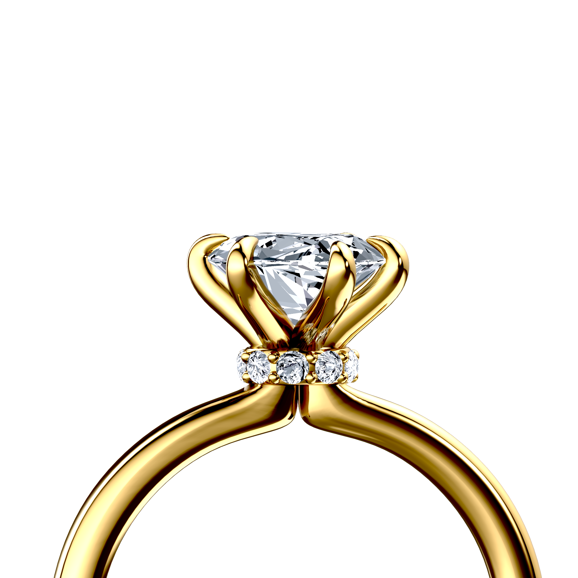 Image for The Elara