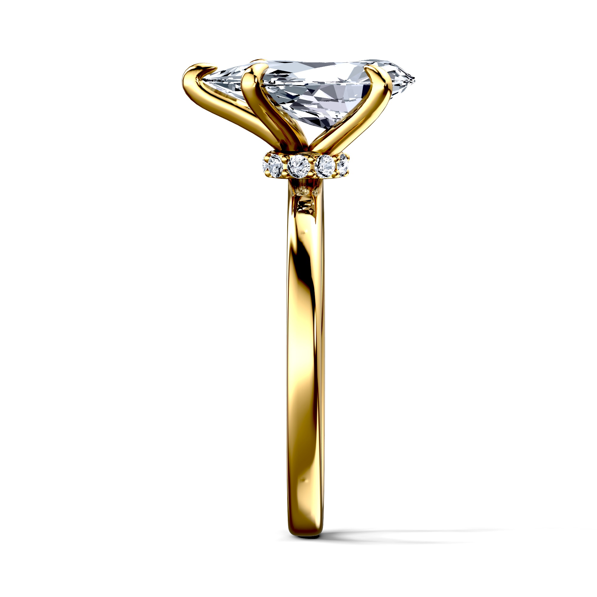 Image for The Elara