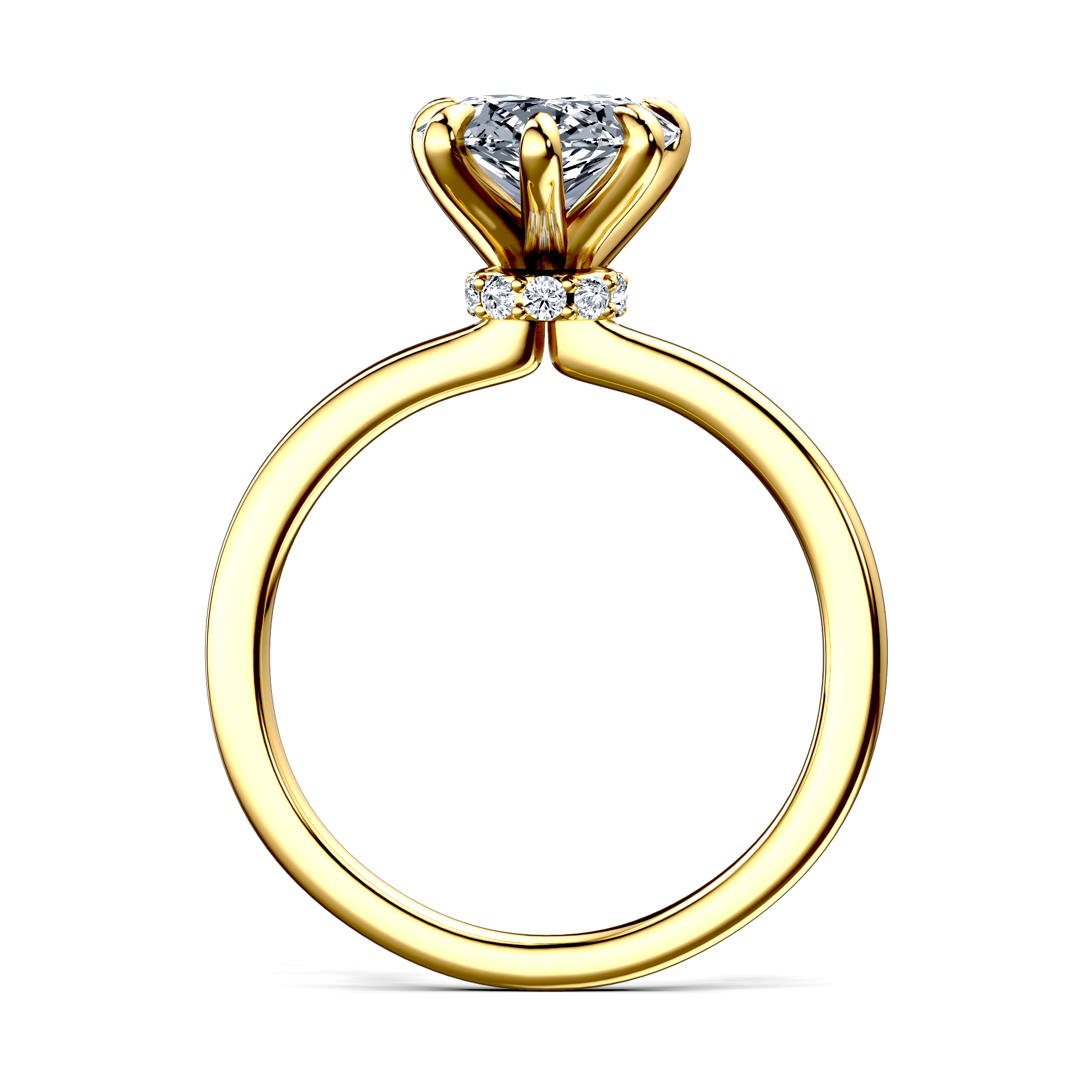 Image for The Elara