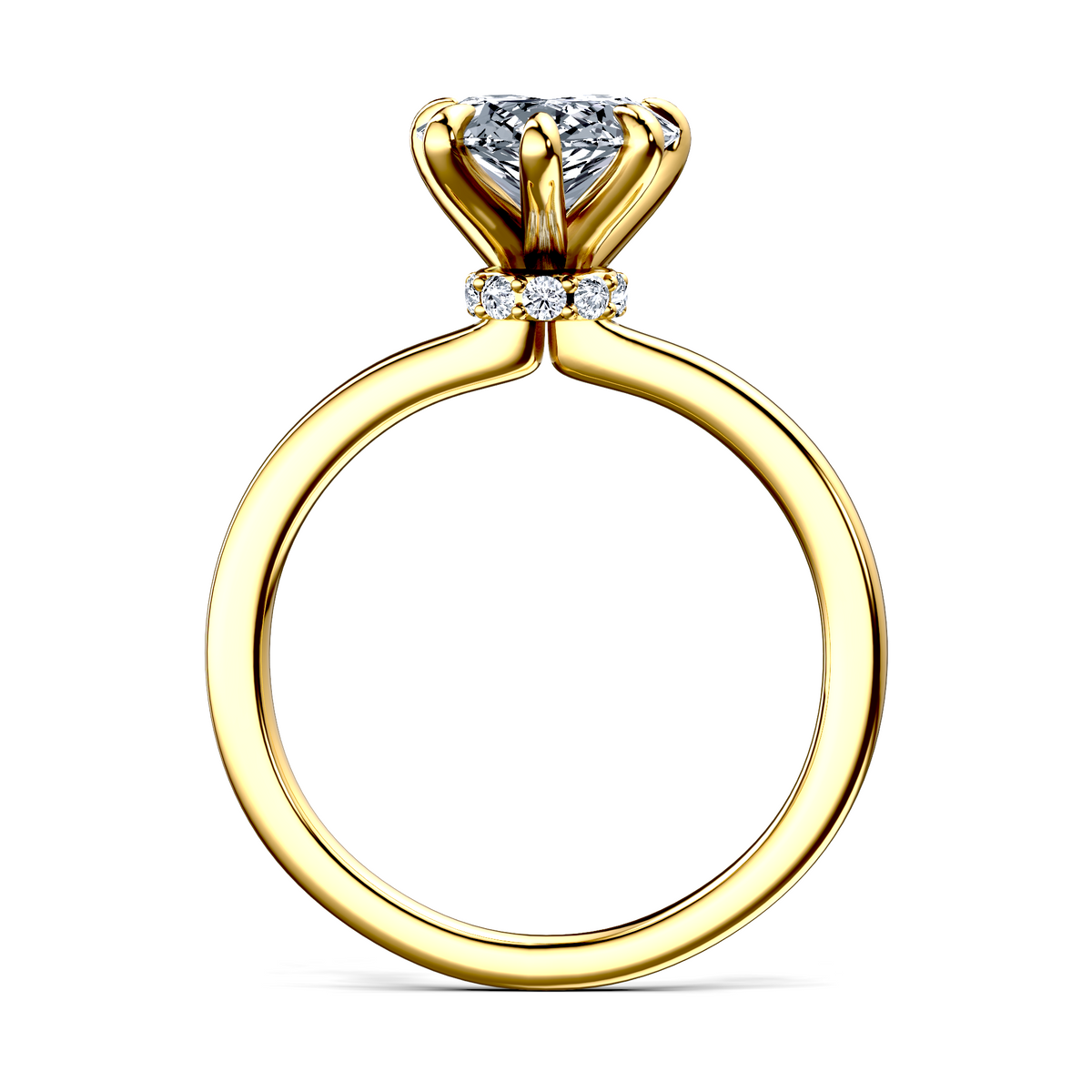 Image for The Elara