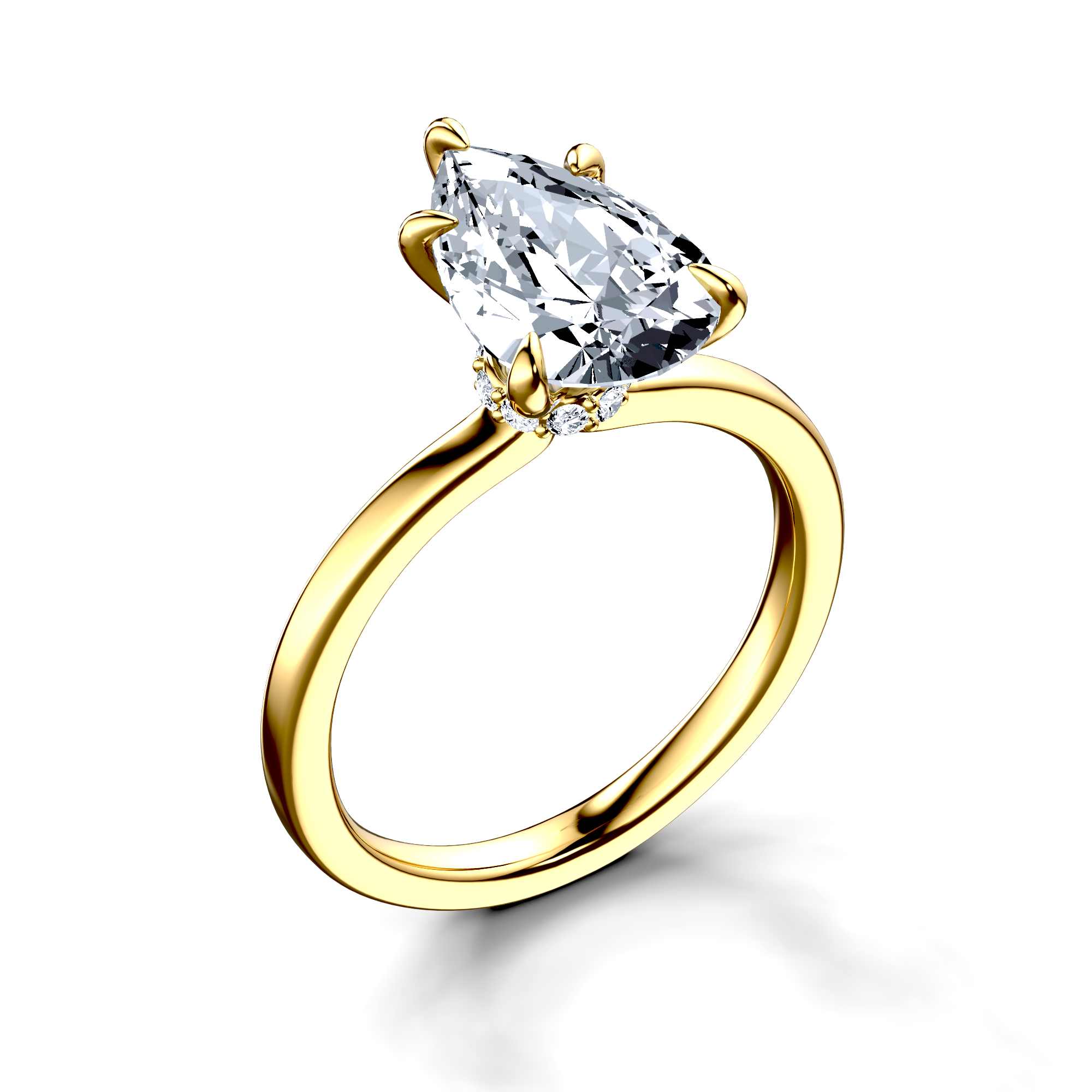 Image for The Elara