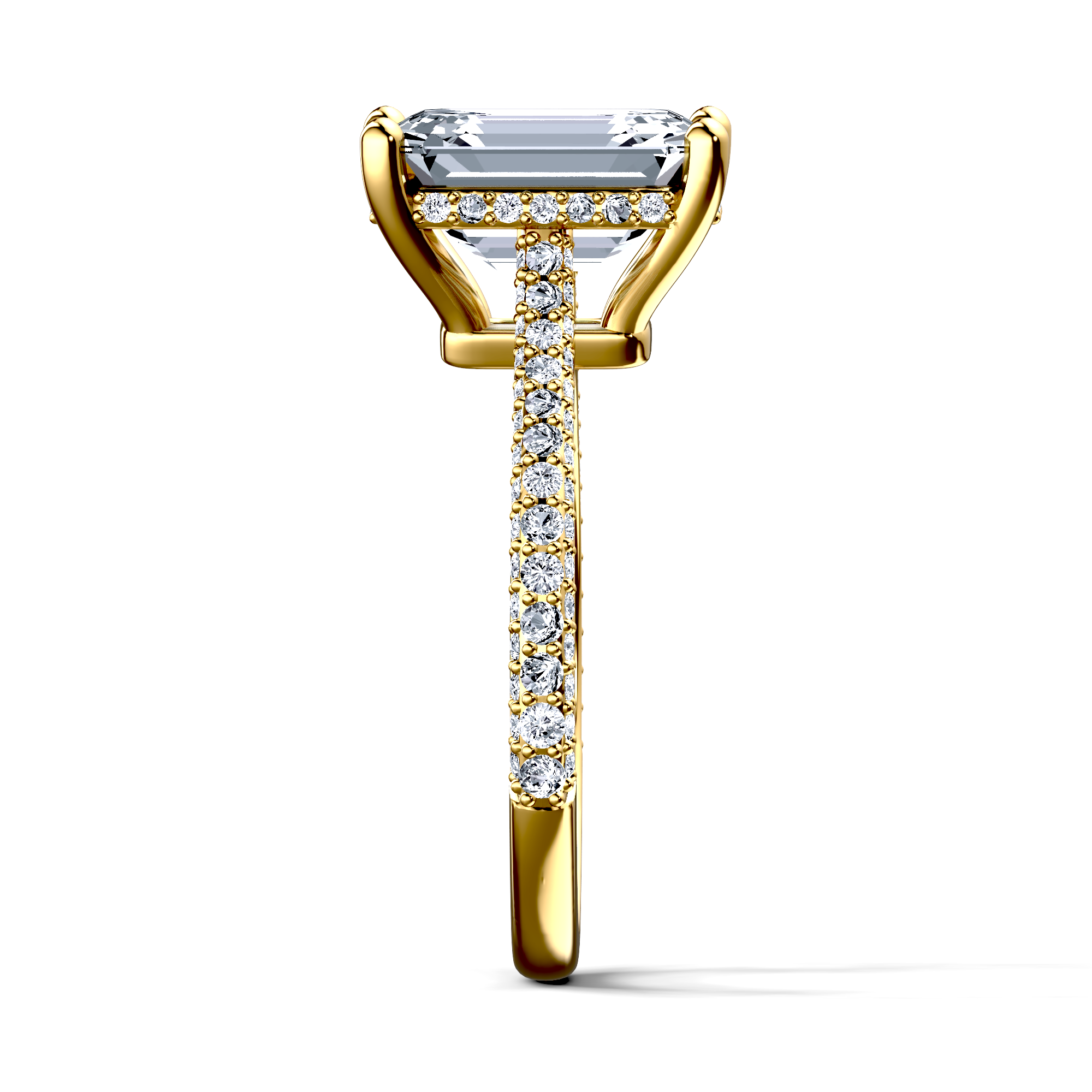 Image for The Asteria