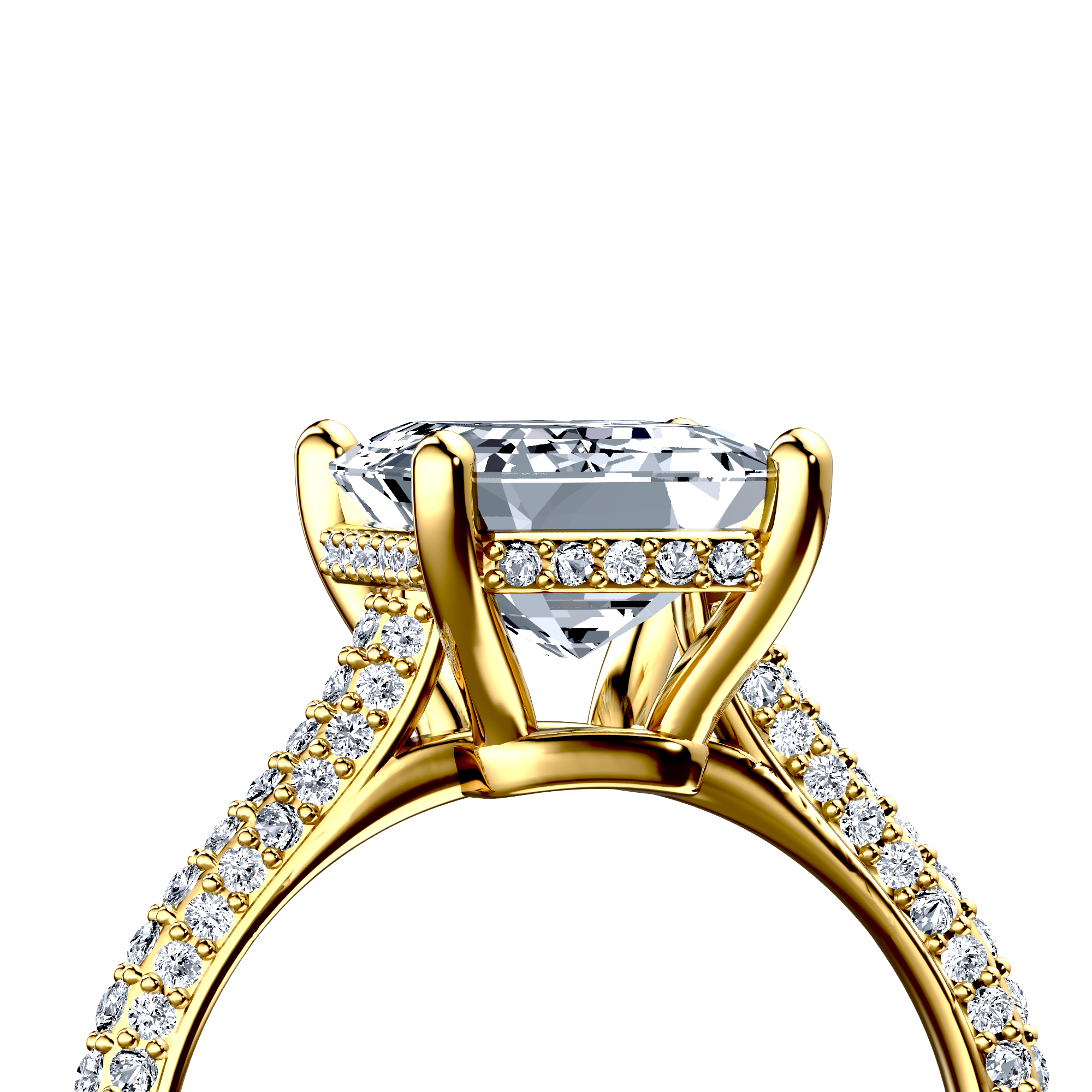 Image for The Asteria