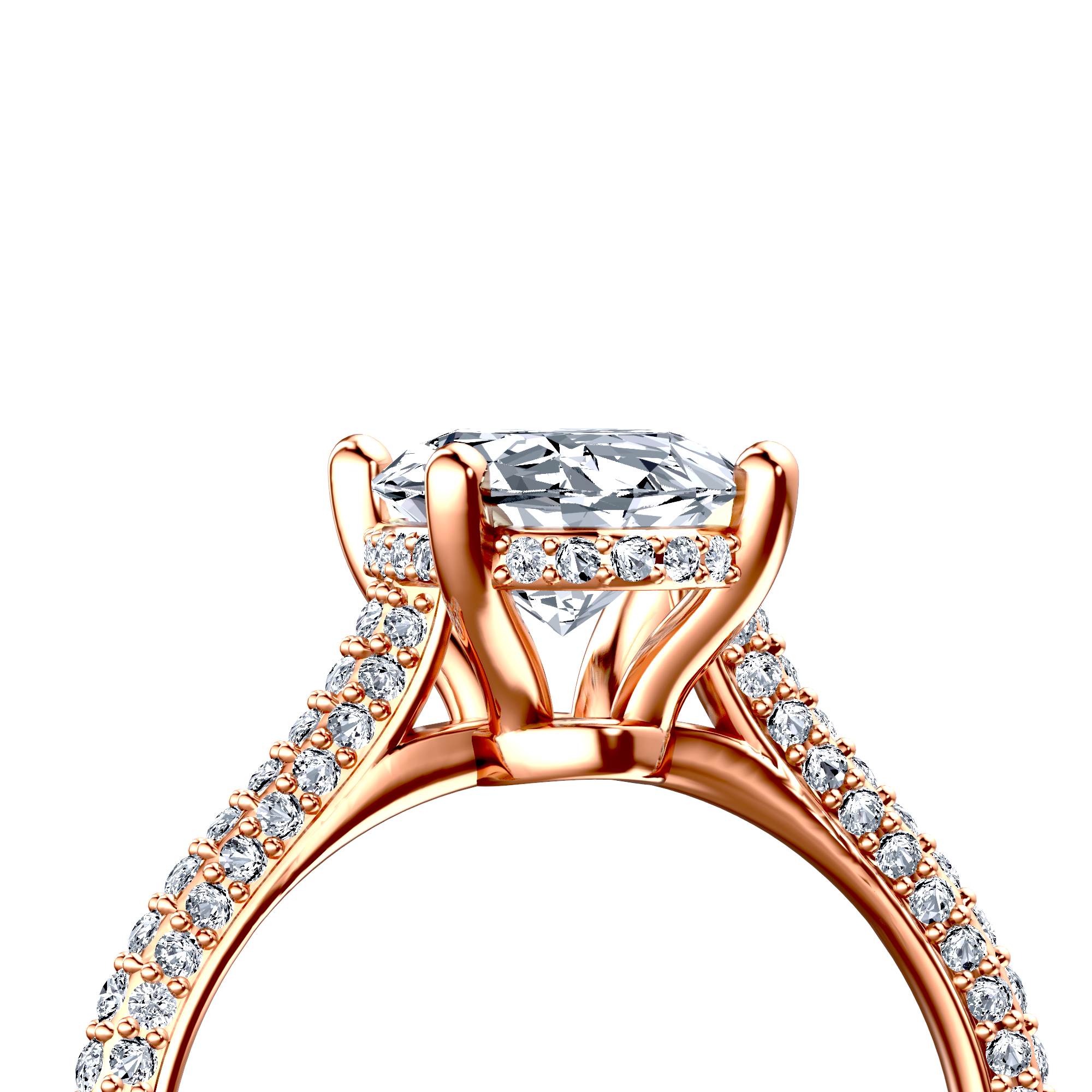 Image for The Asteria
