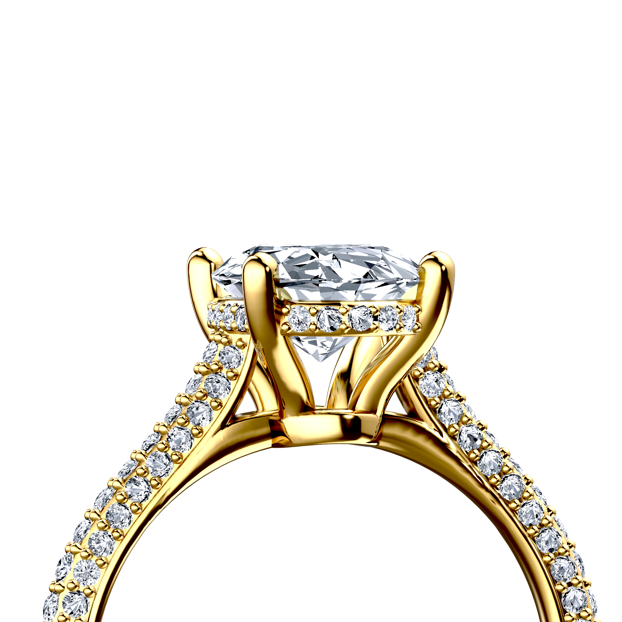 Image for The Asteria