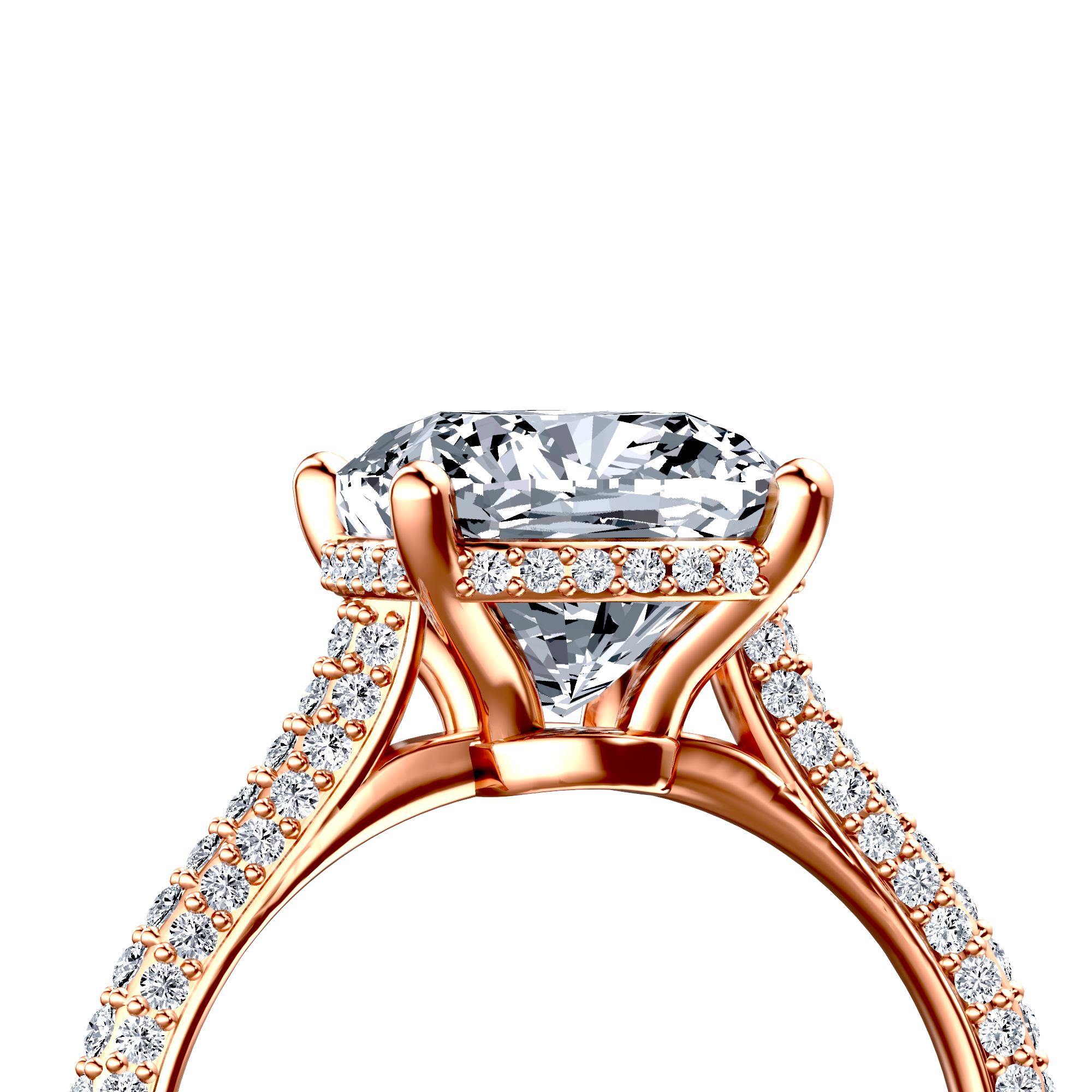 Image for The Asteria