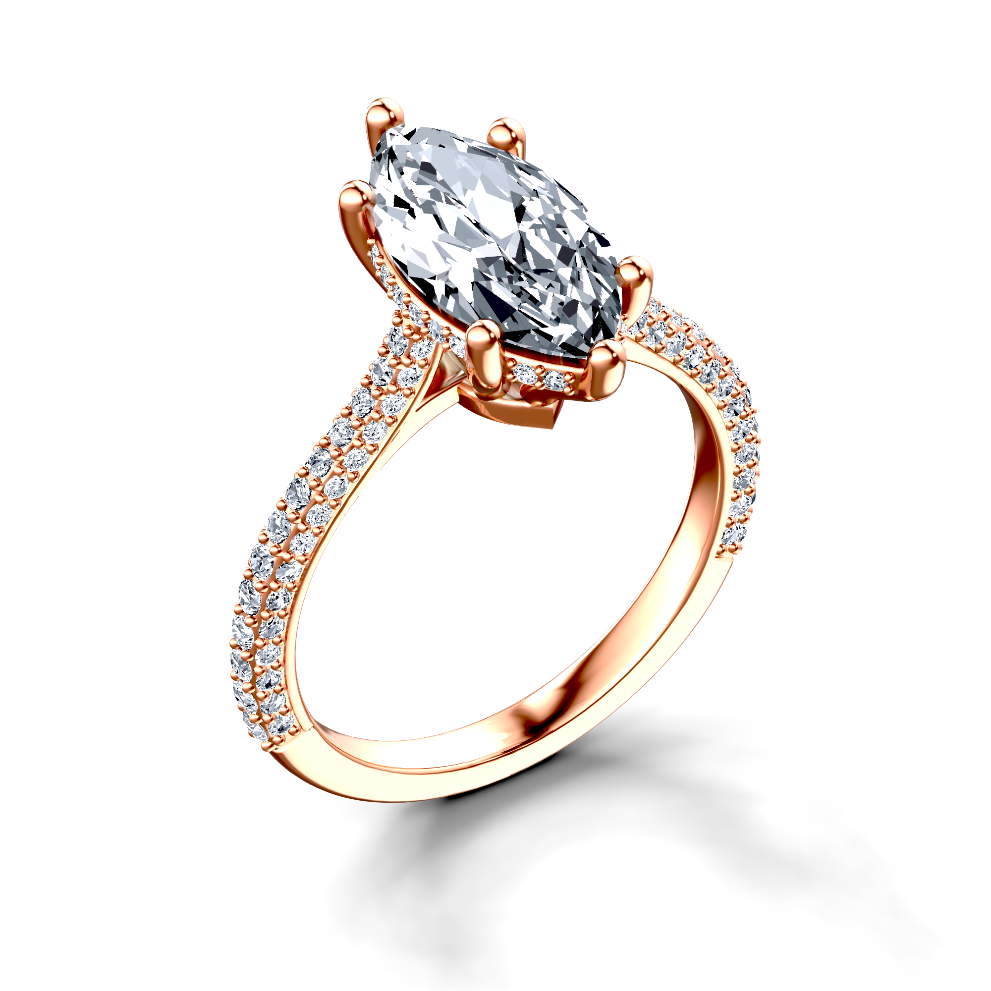 Image for The Asteria