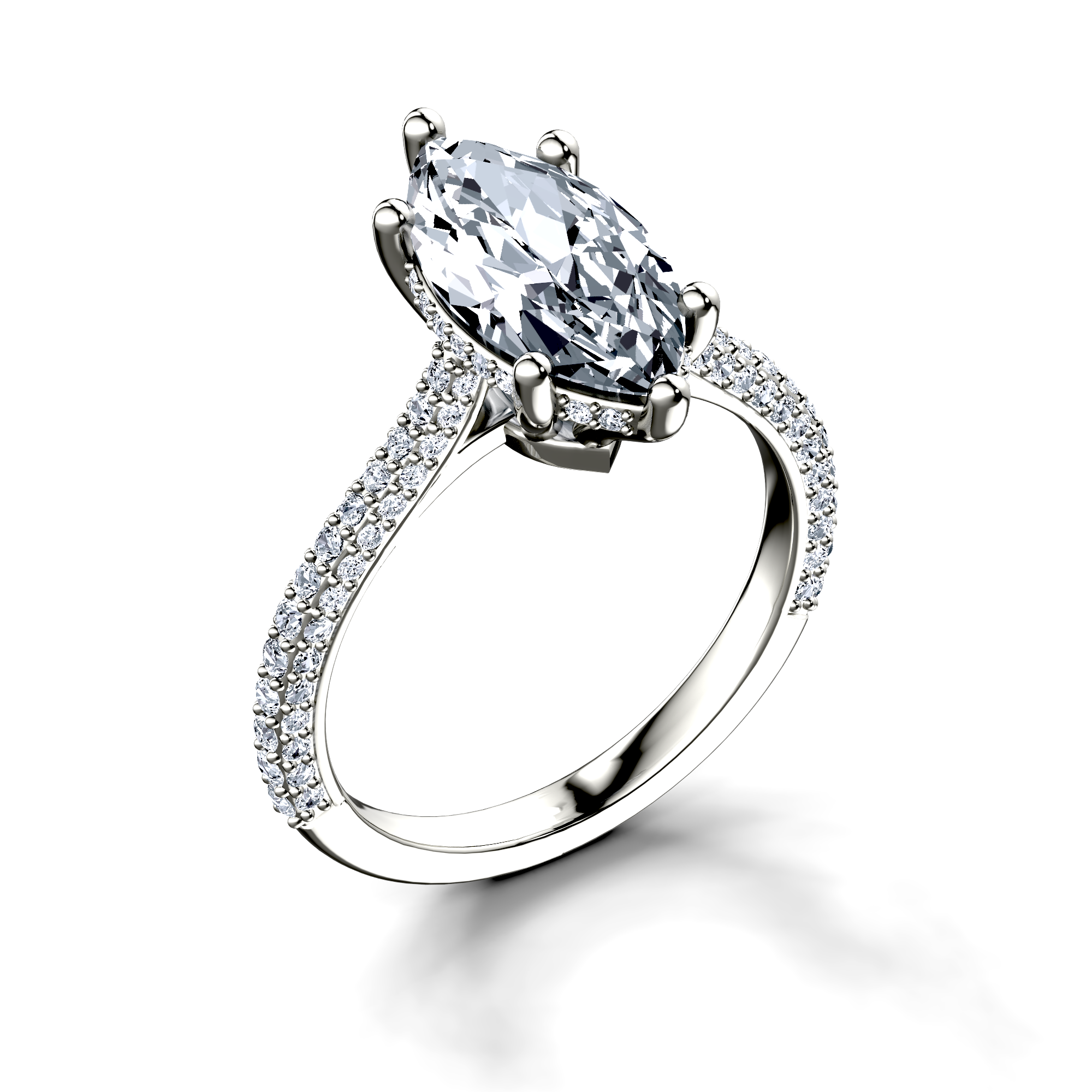 Image for The Asteria