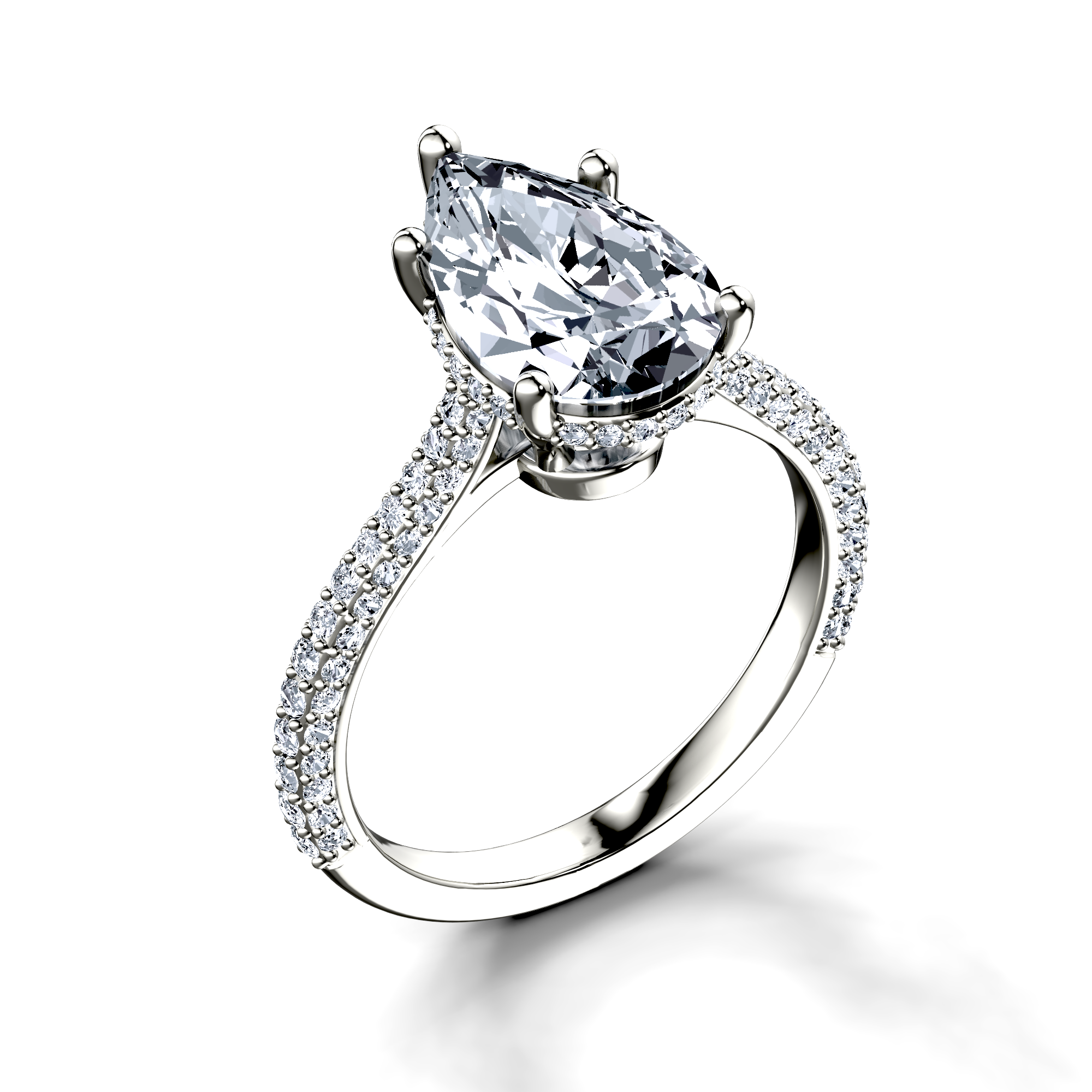Image for The Asteria