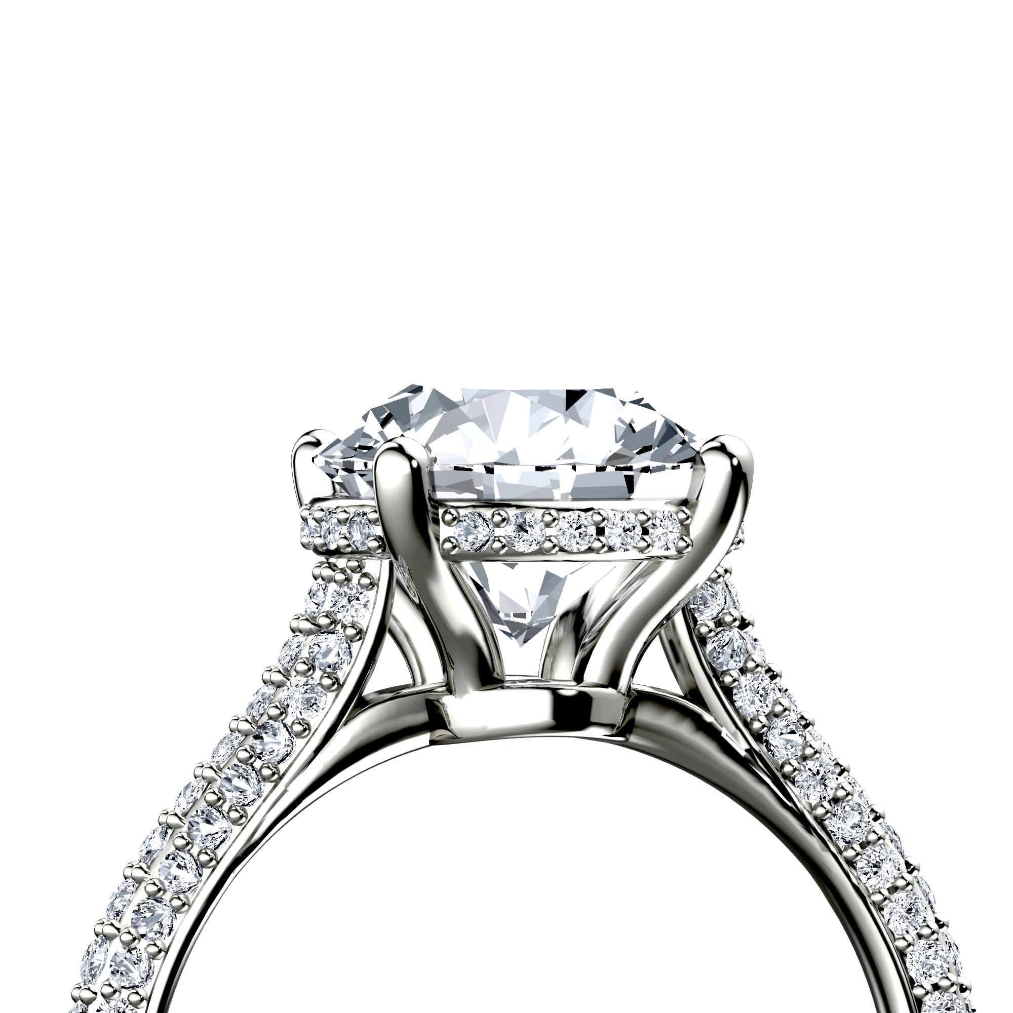 Image for The Asteria