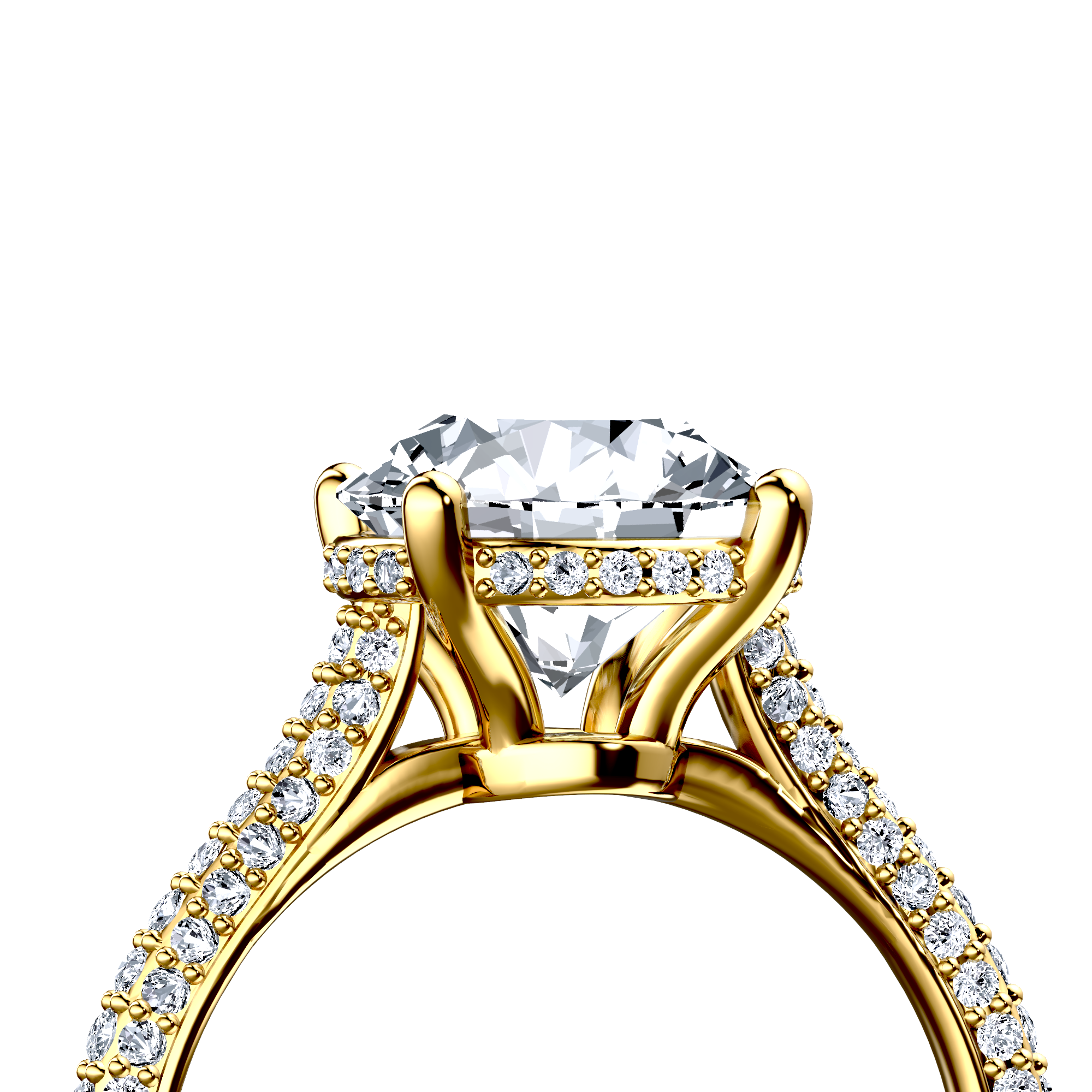 Image for The Asteria