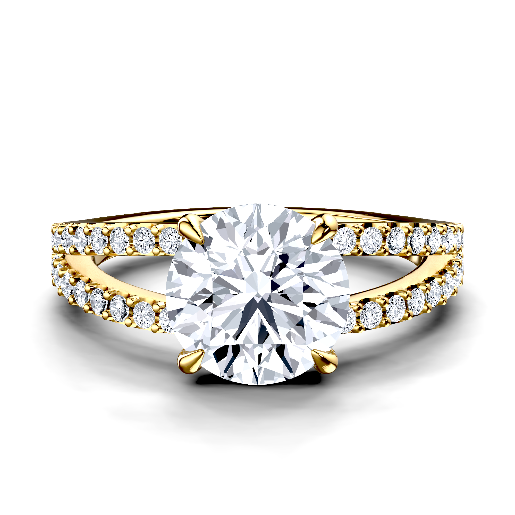Image for The Cassia