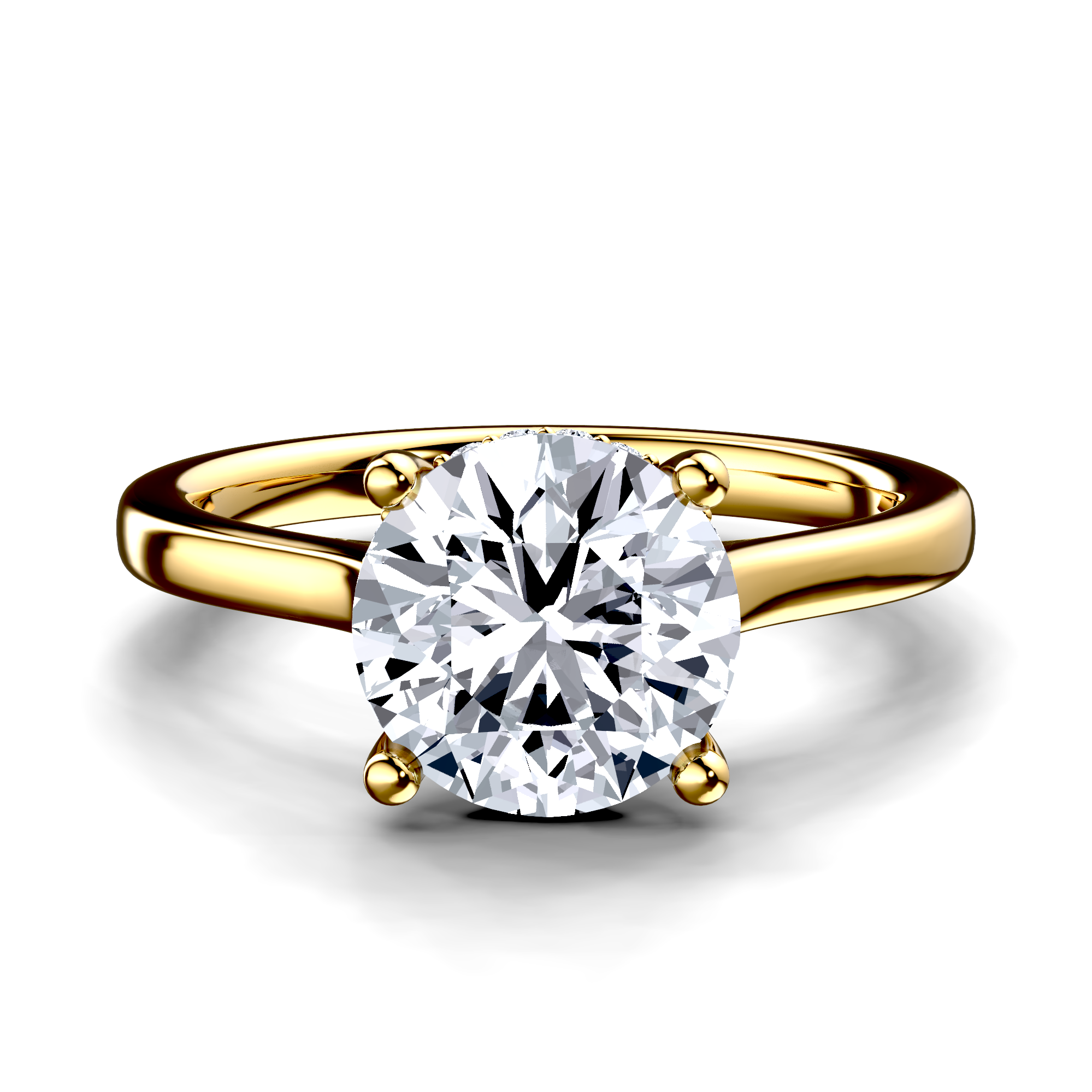 Image for The Rhea