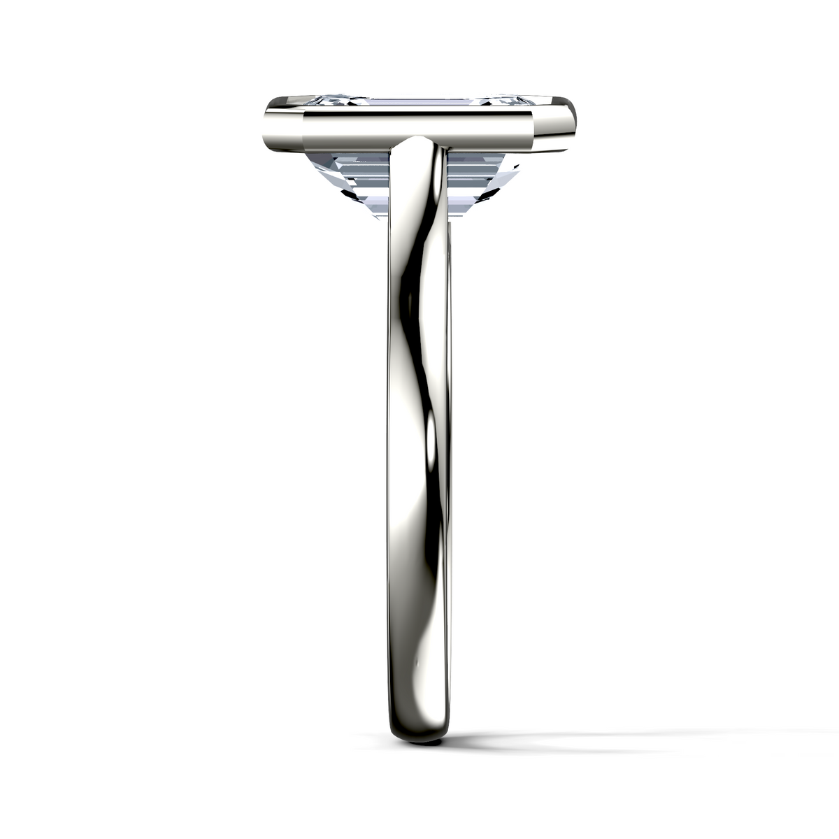 Image for The Iris