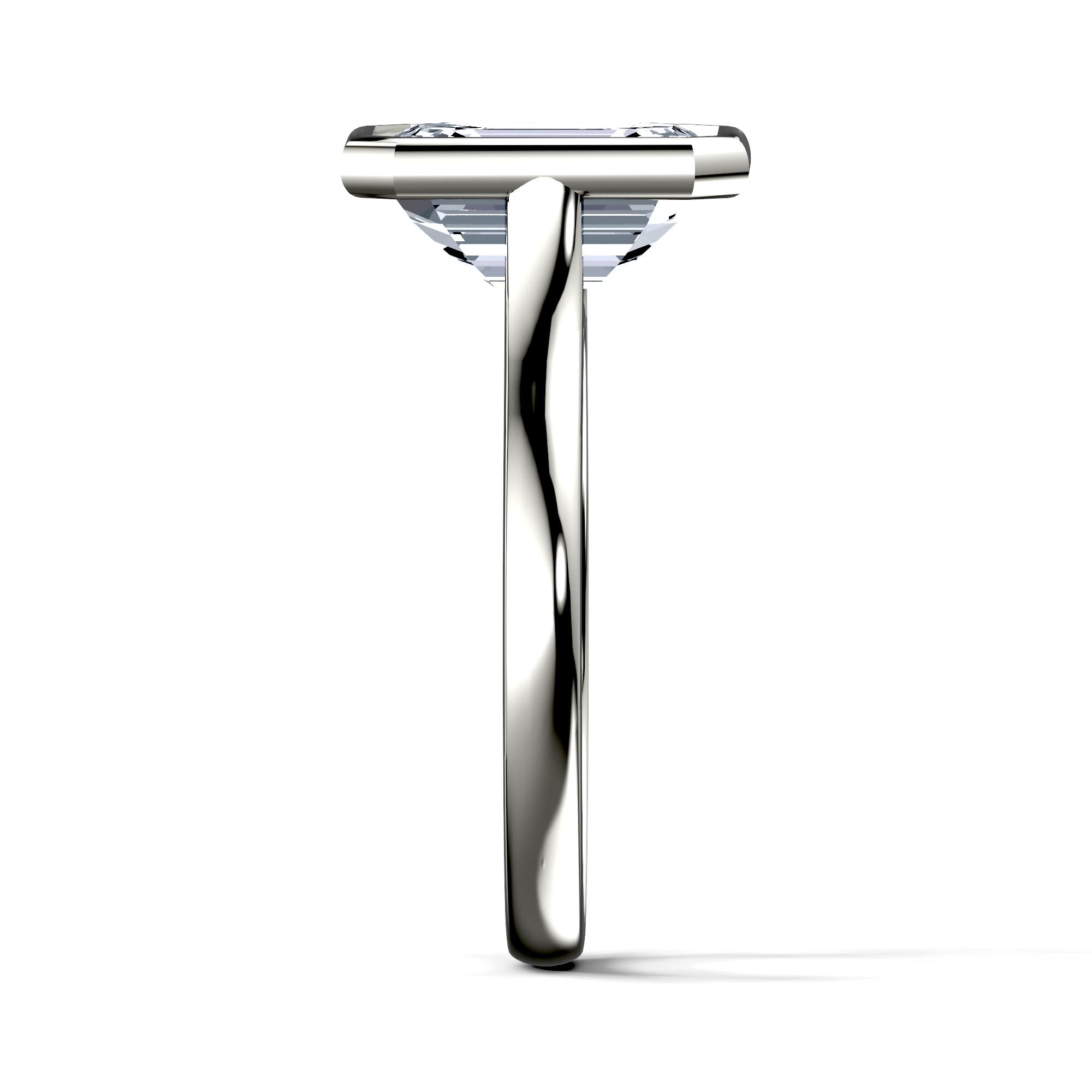 Image for The Iris