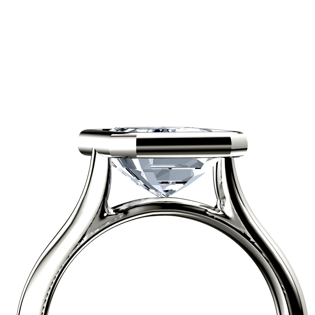 Image for The Iris
