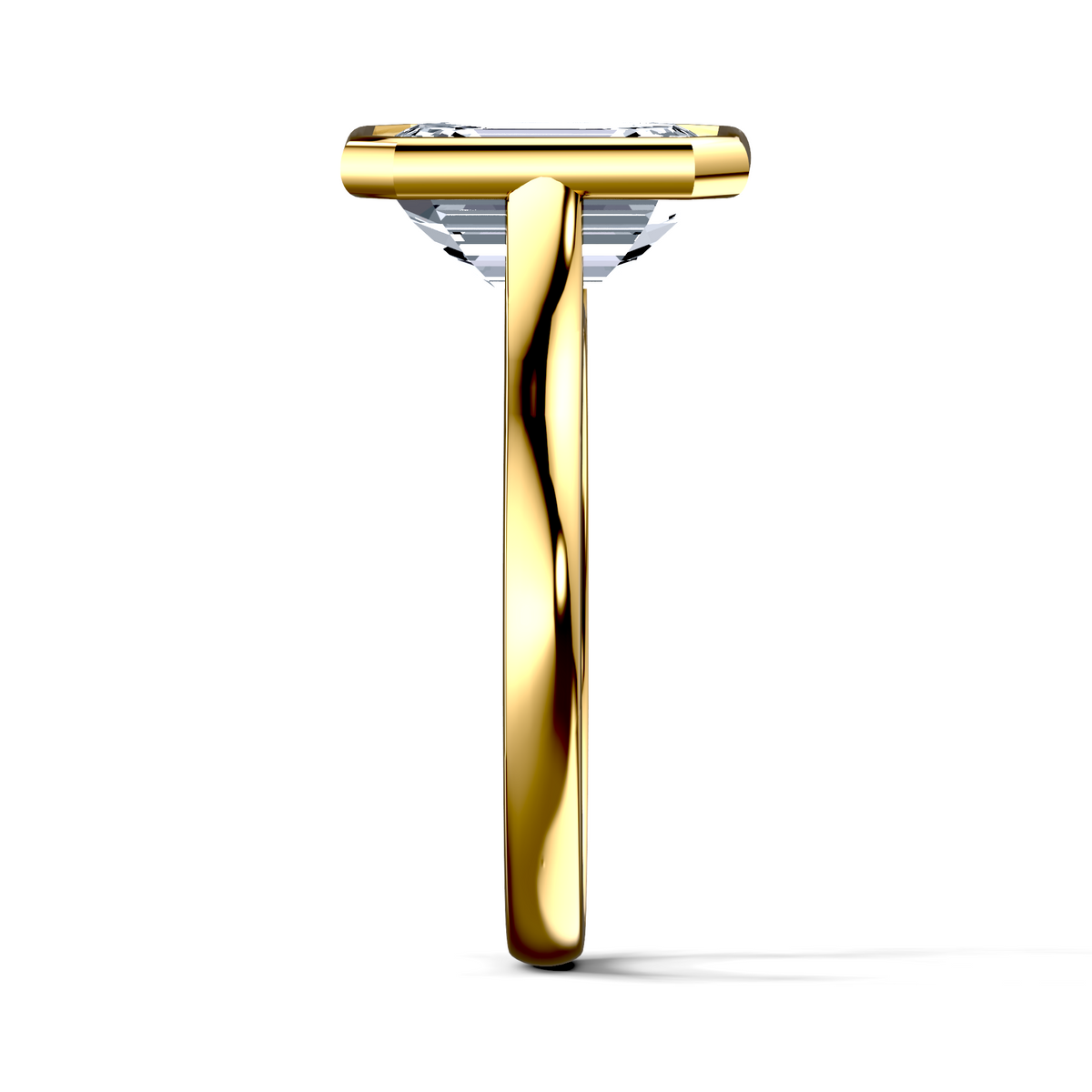 Image for The Iris