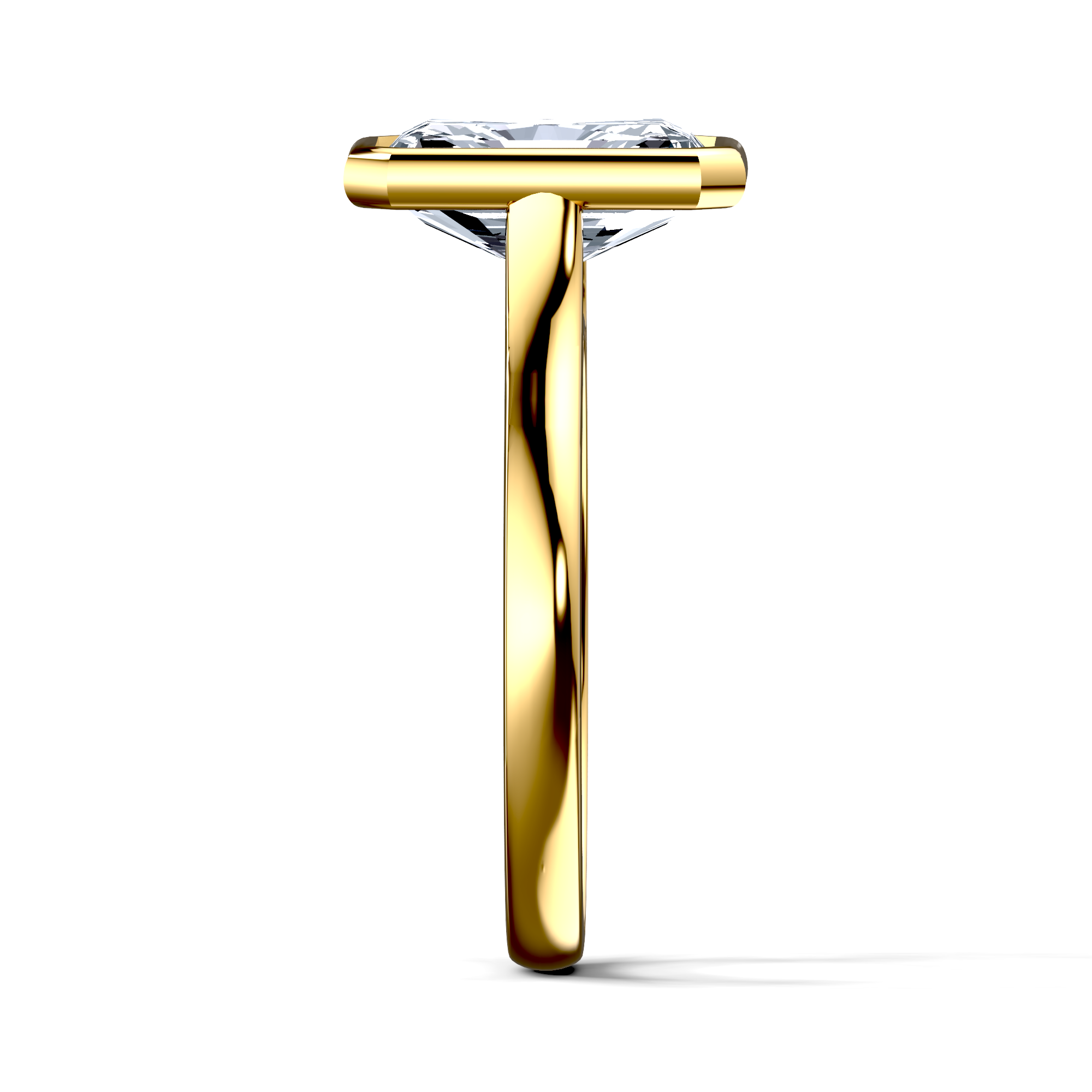 Image for The Iris