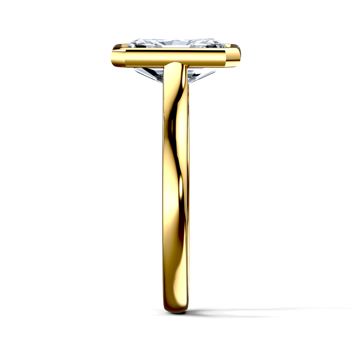 Image for The Iris