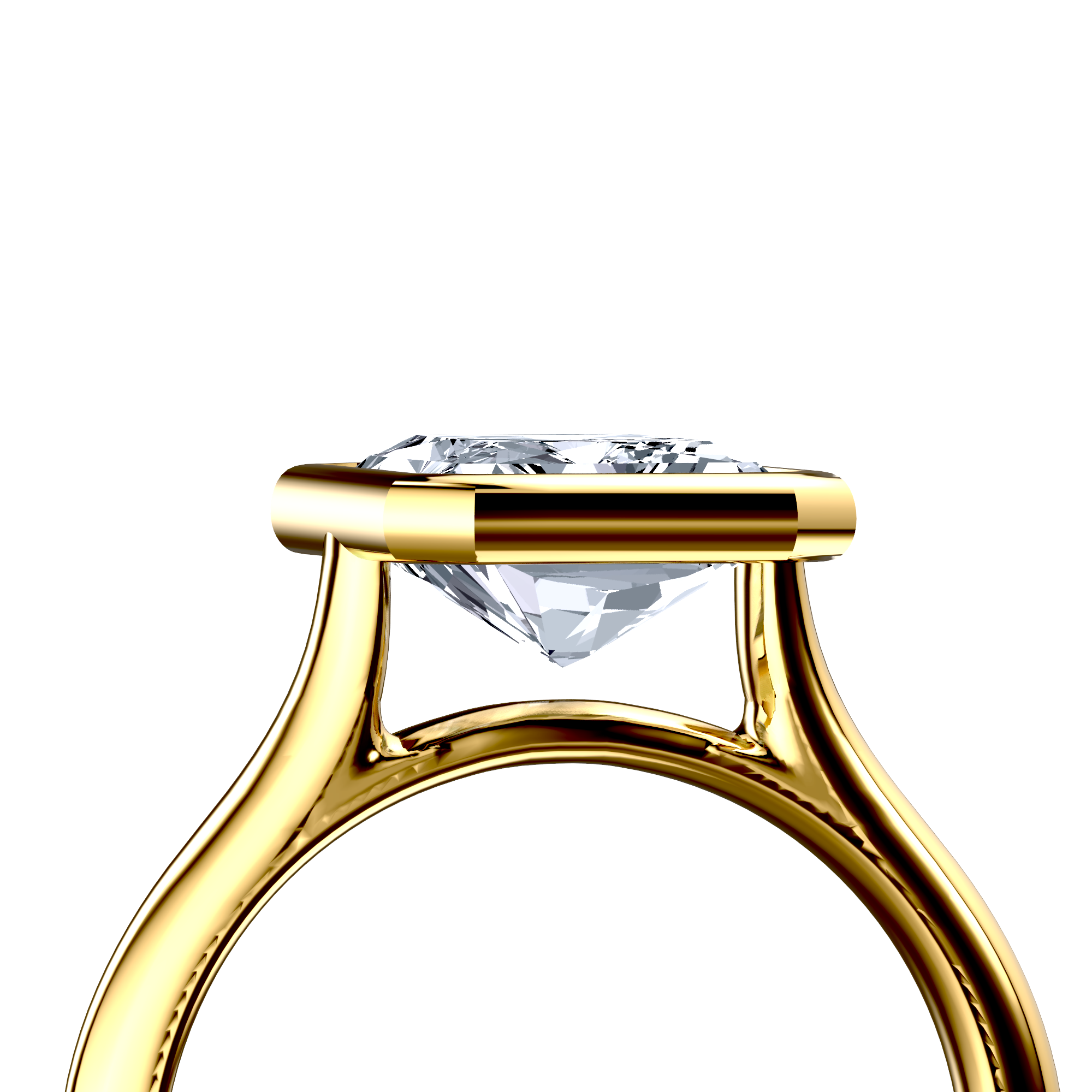 Image for The Iris