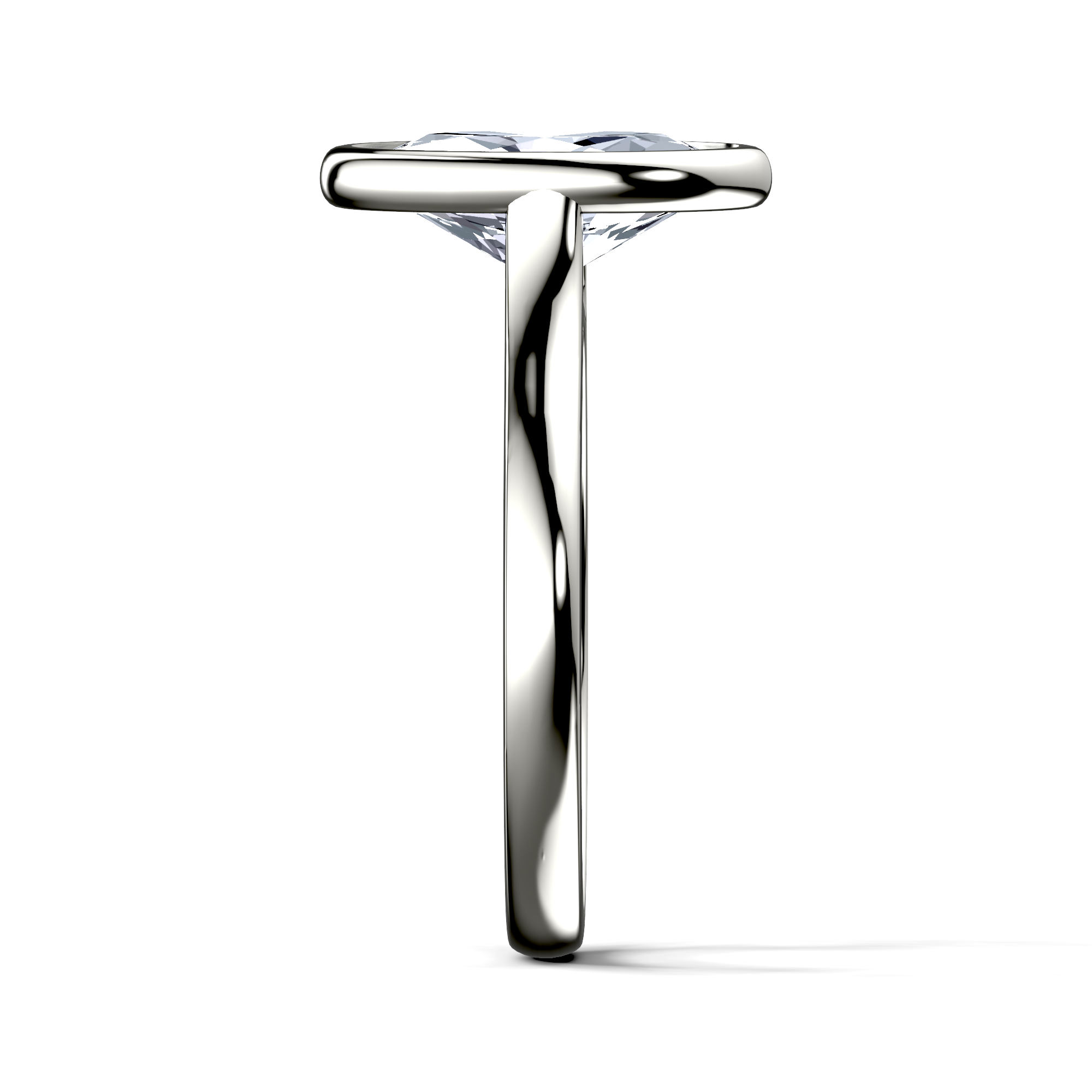 Image for The Iris