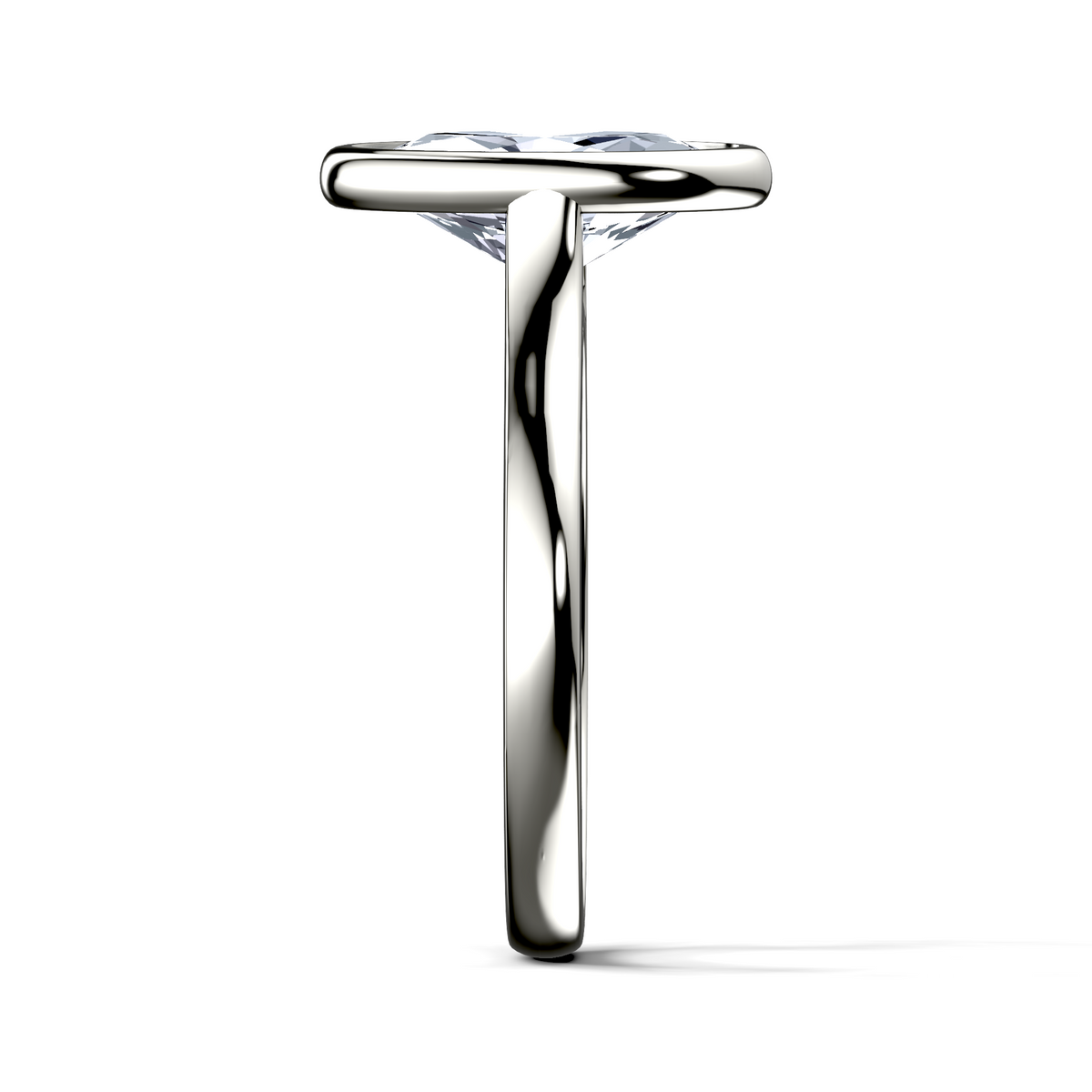 Image for The Iris
