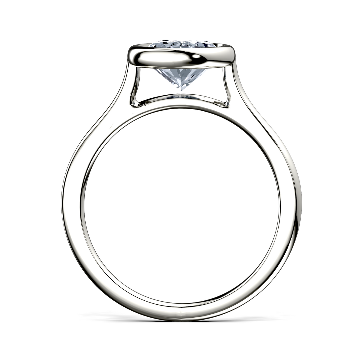 Image for The Iris